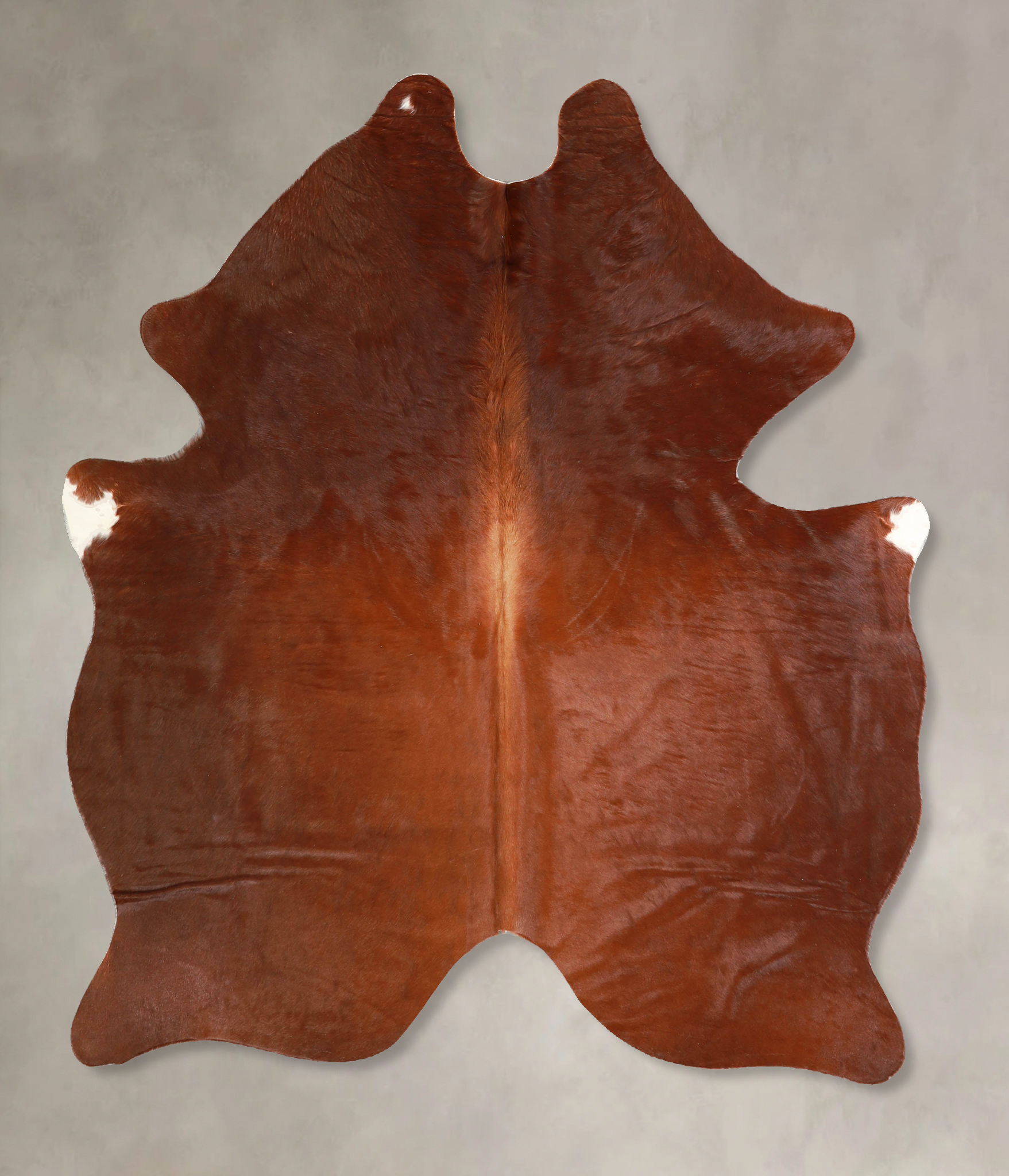 Solid Brown Cowhide Rug #A35310