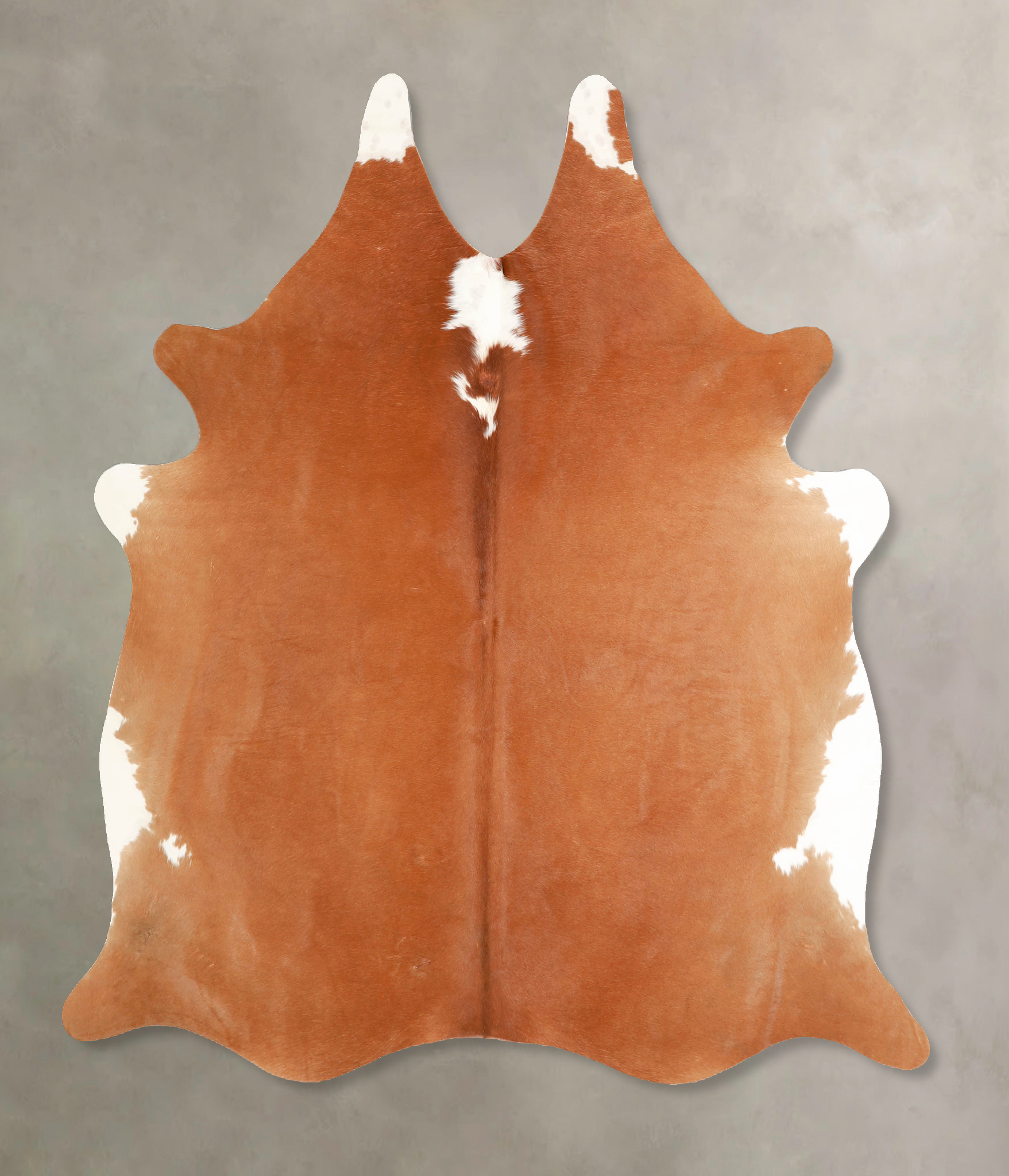 Brown and White Regular Cowhide Rug #A35315