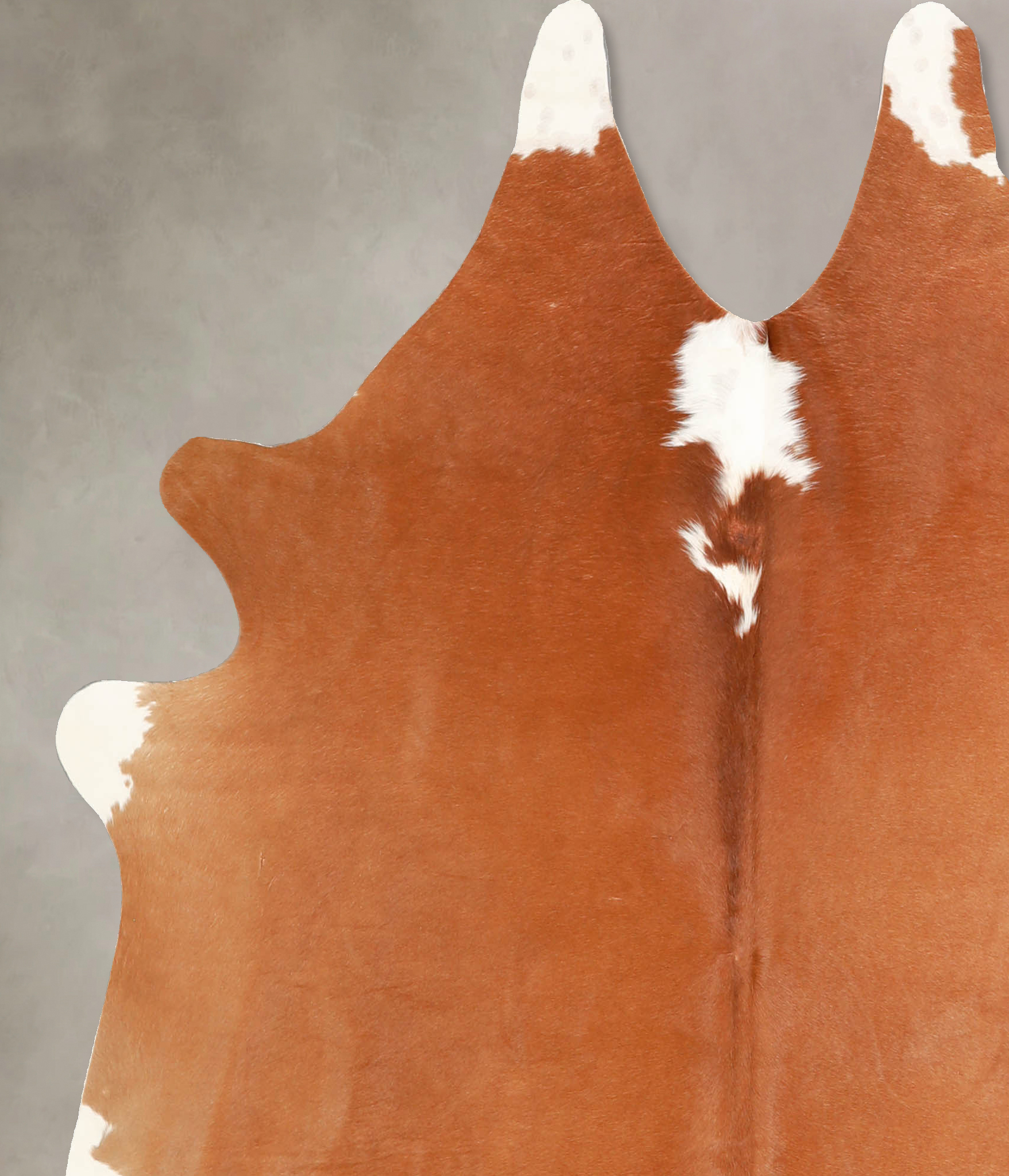 Brown and White Regular Cowhide Rug #A35315