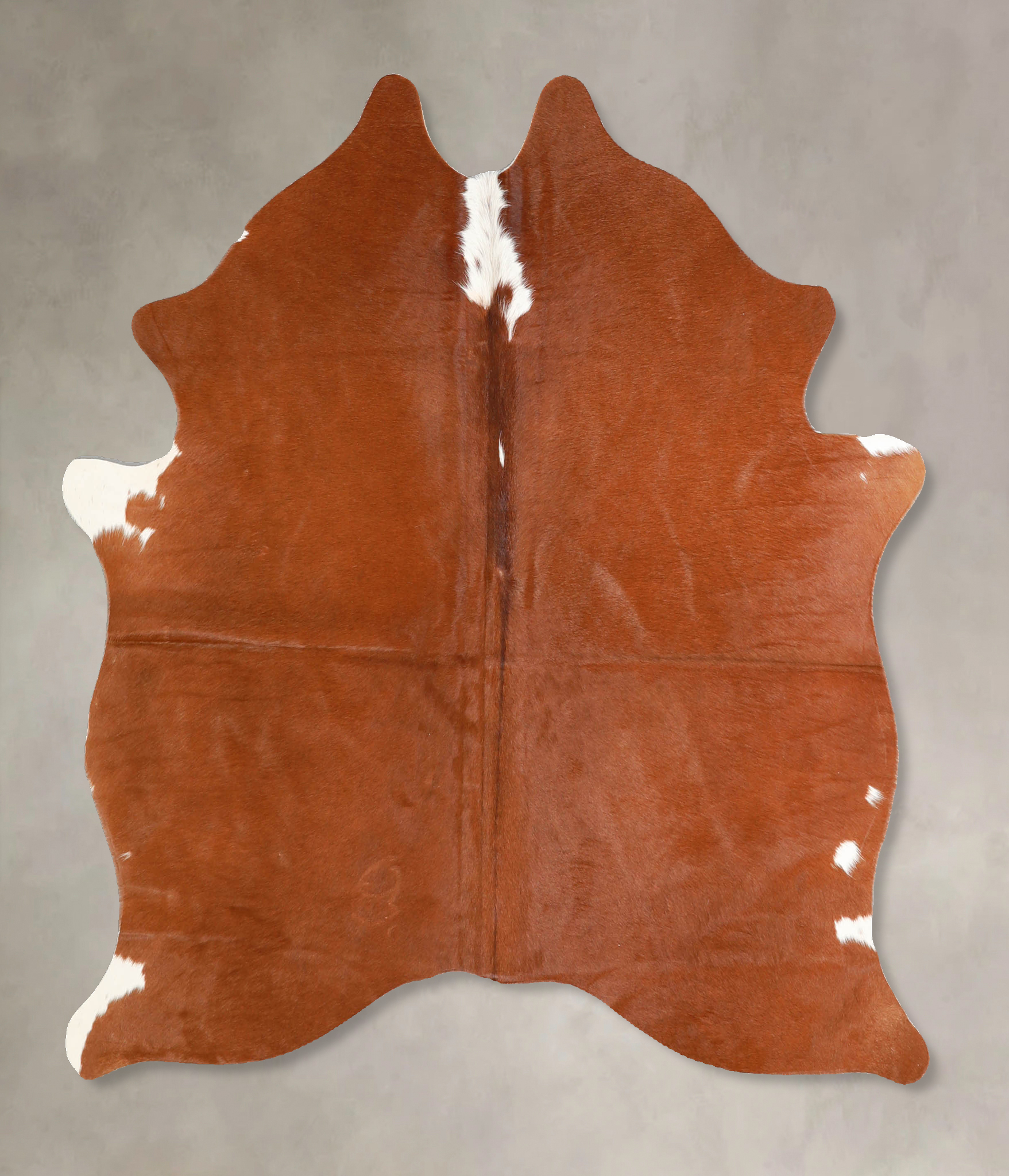 Brown and White Regular Cowhide Rug #A35325