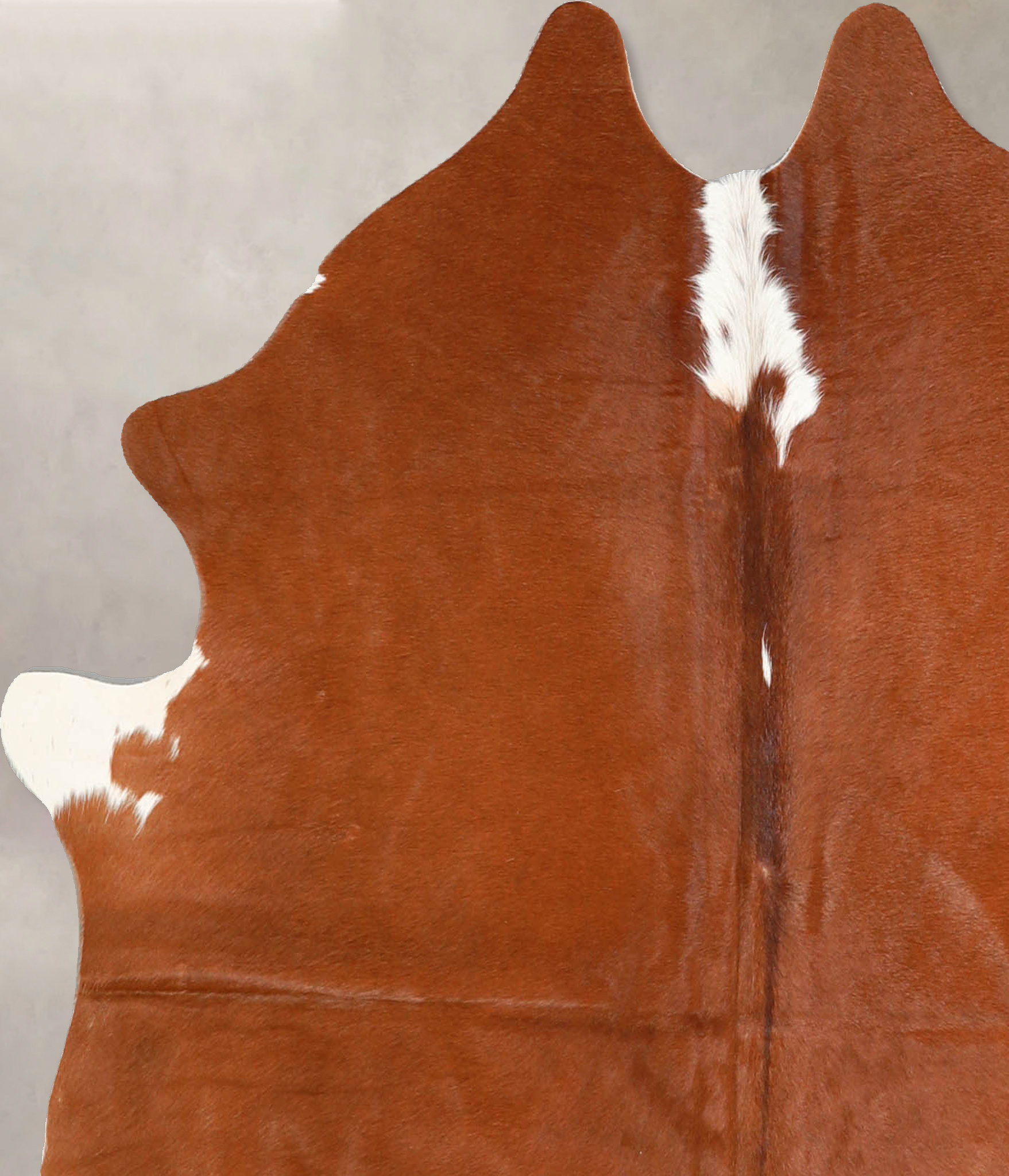 Brown and White Regular Cowhide Rug #A35325