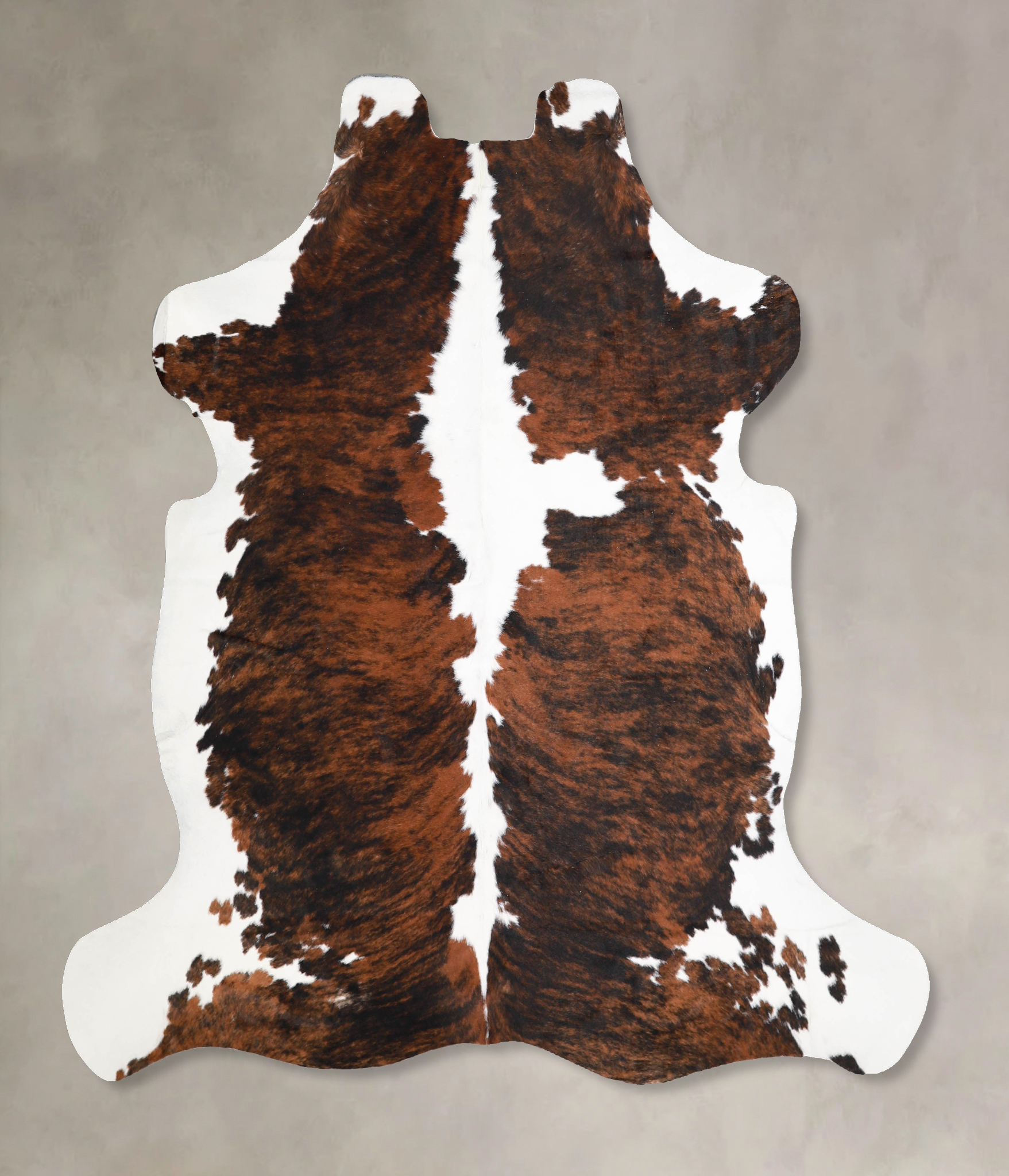 Tricolor Cowhide Rug #A39893