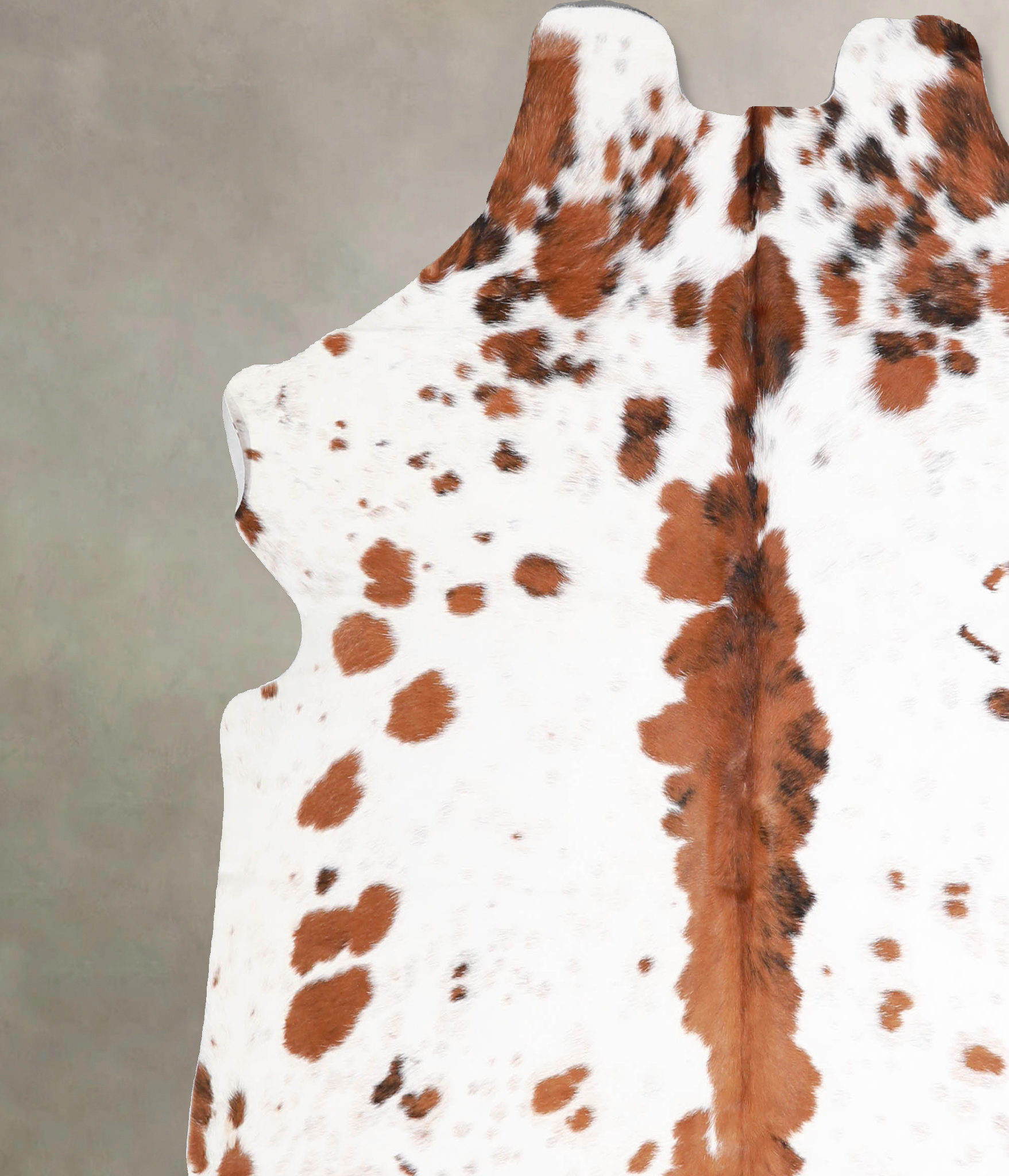 Tricolor Cowhide Rug #A39895