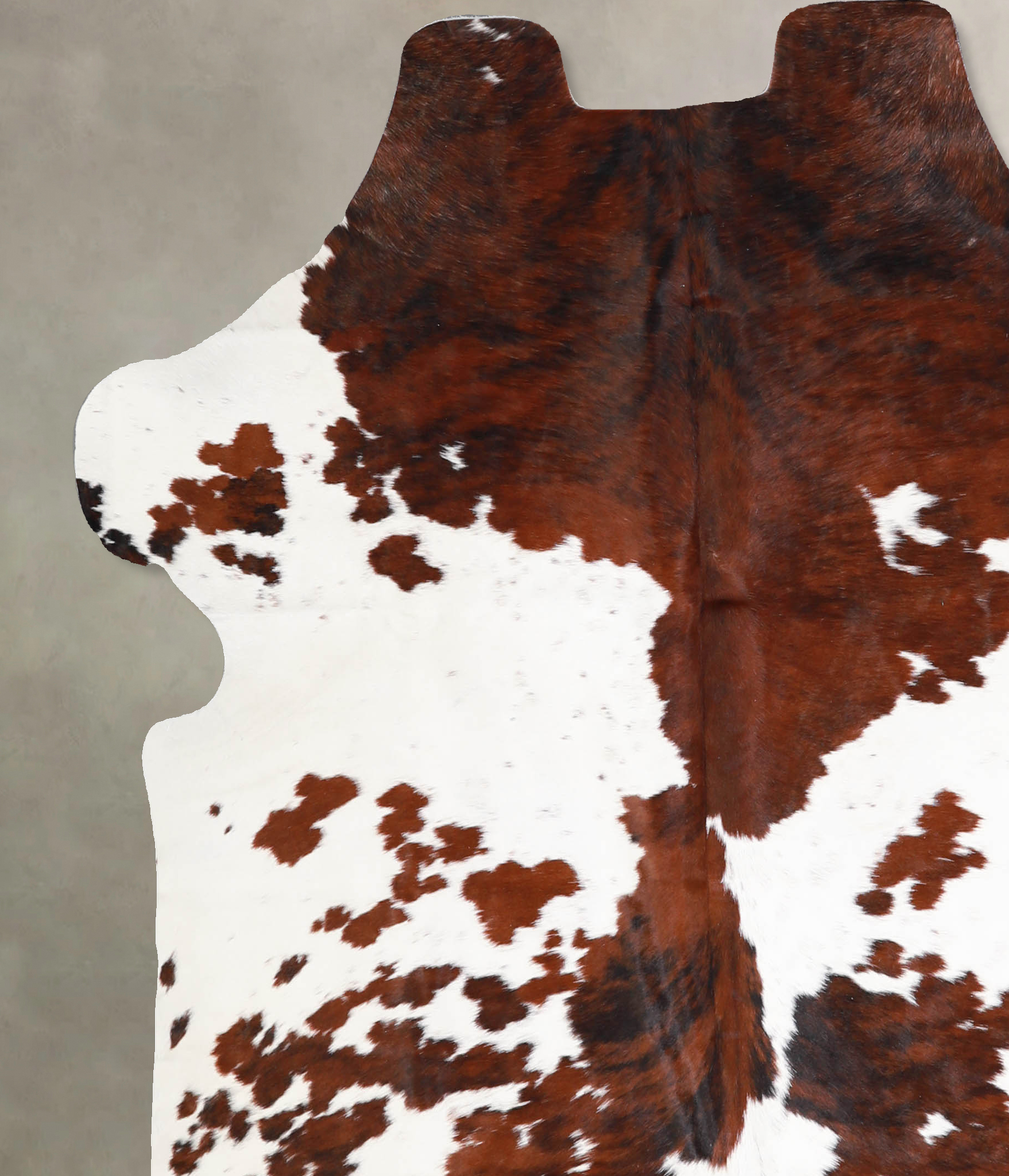 Tricolor Cowhide Rug #A39908