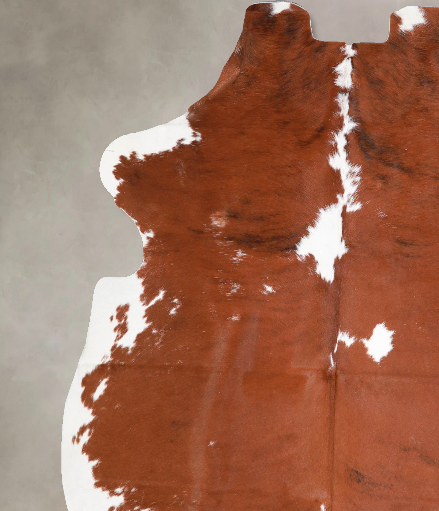 Tricolor Cowhide Rug #A39909