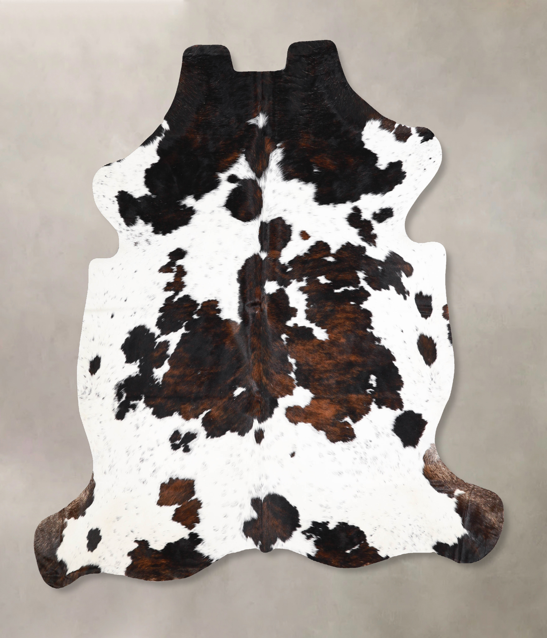 Tricolor Cowhide Rug #A39916