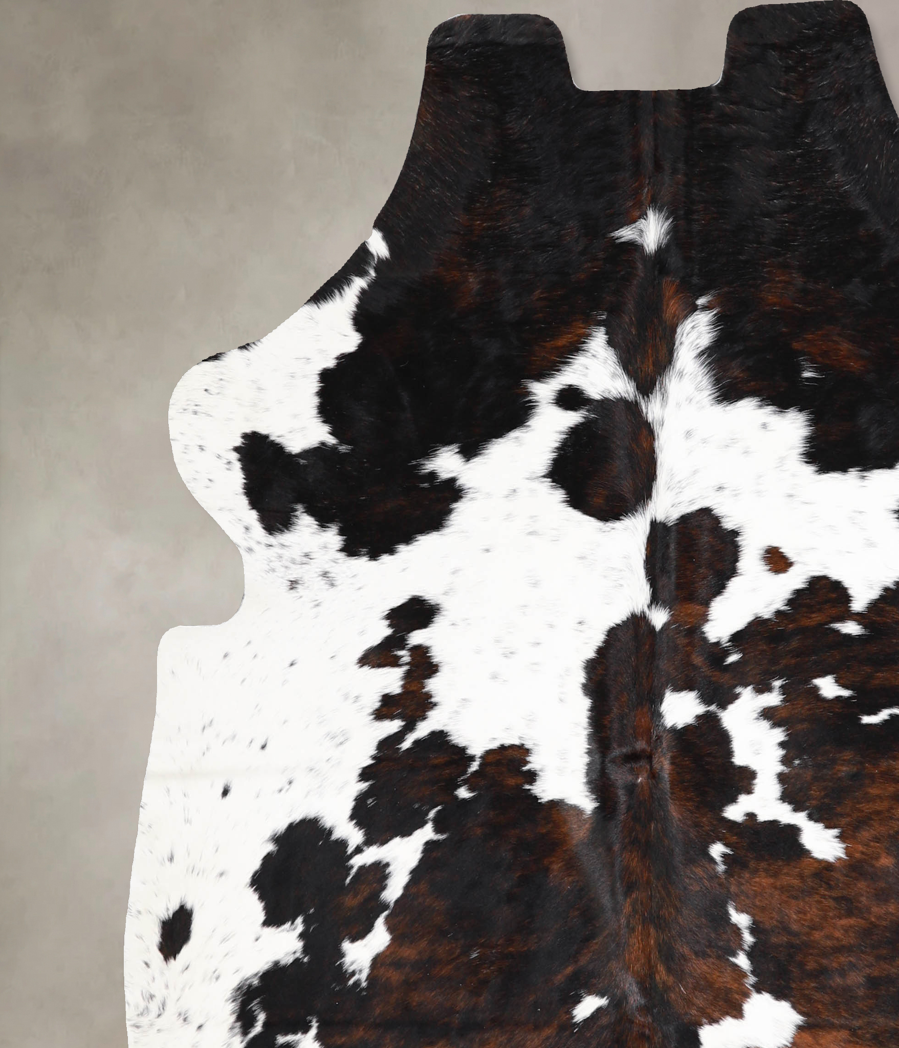 Tricolor Cowhide Rug #A39916