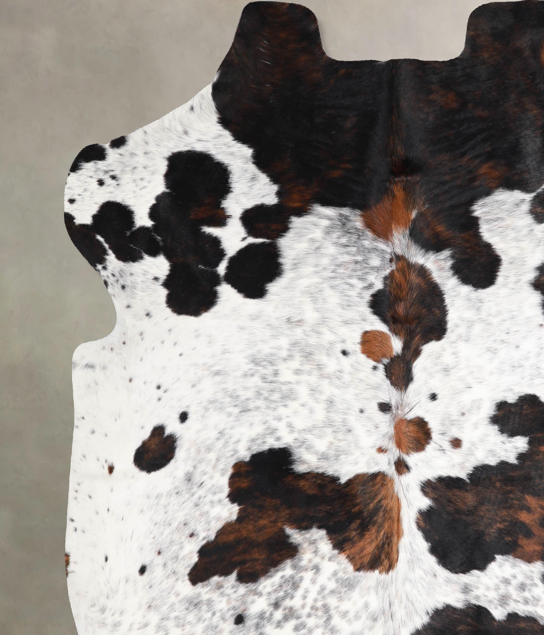 Tricolor Cowhide Rug #A39949