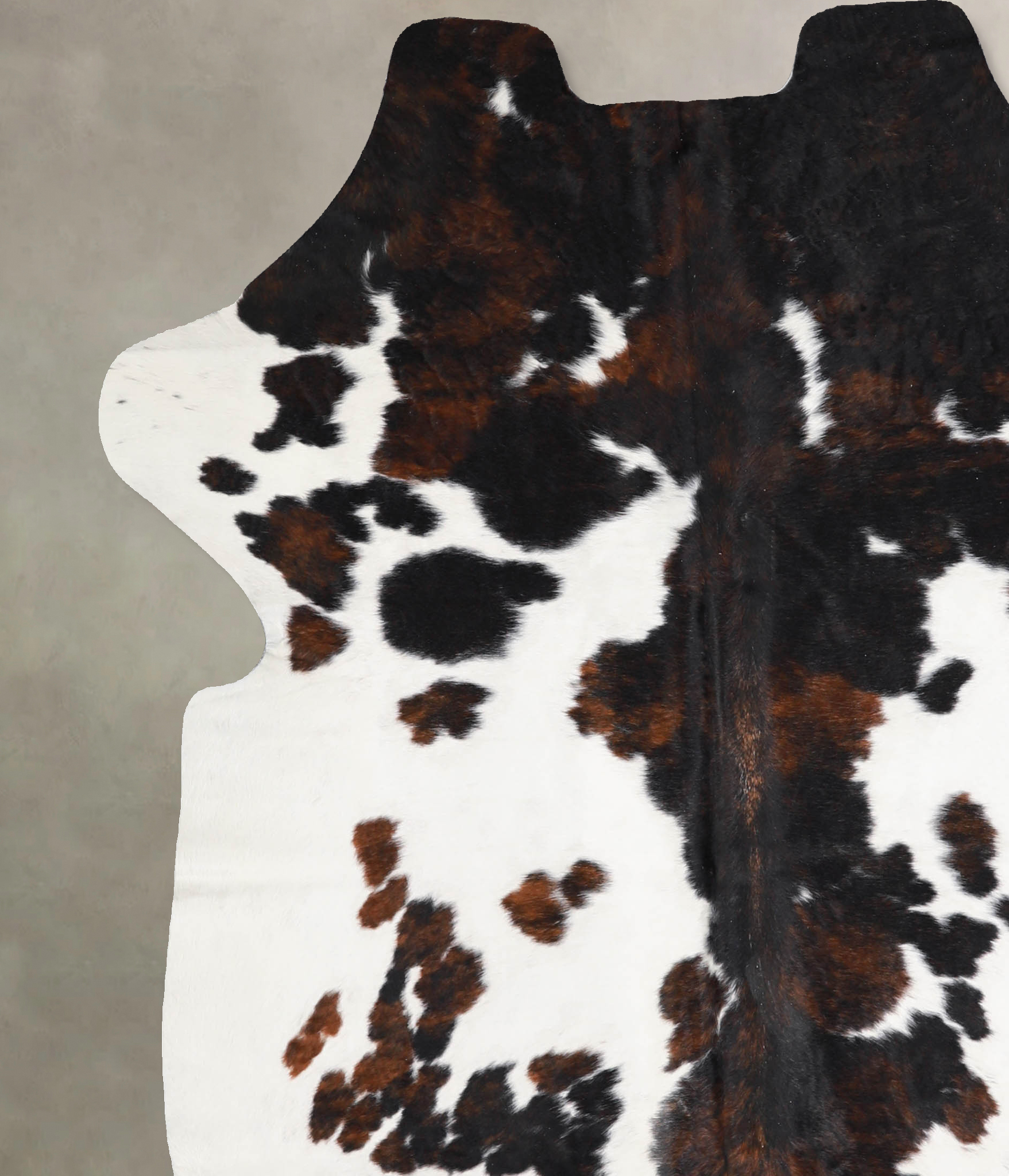 Tricolor Cowhide Rug #A39980