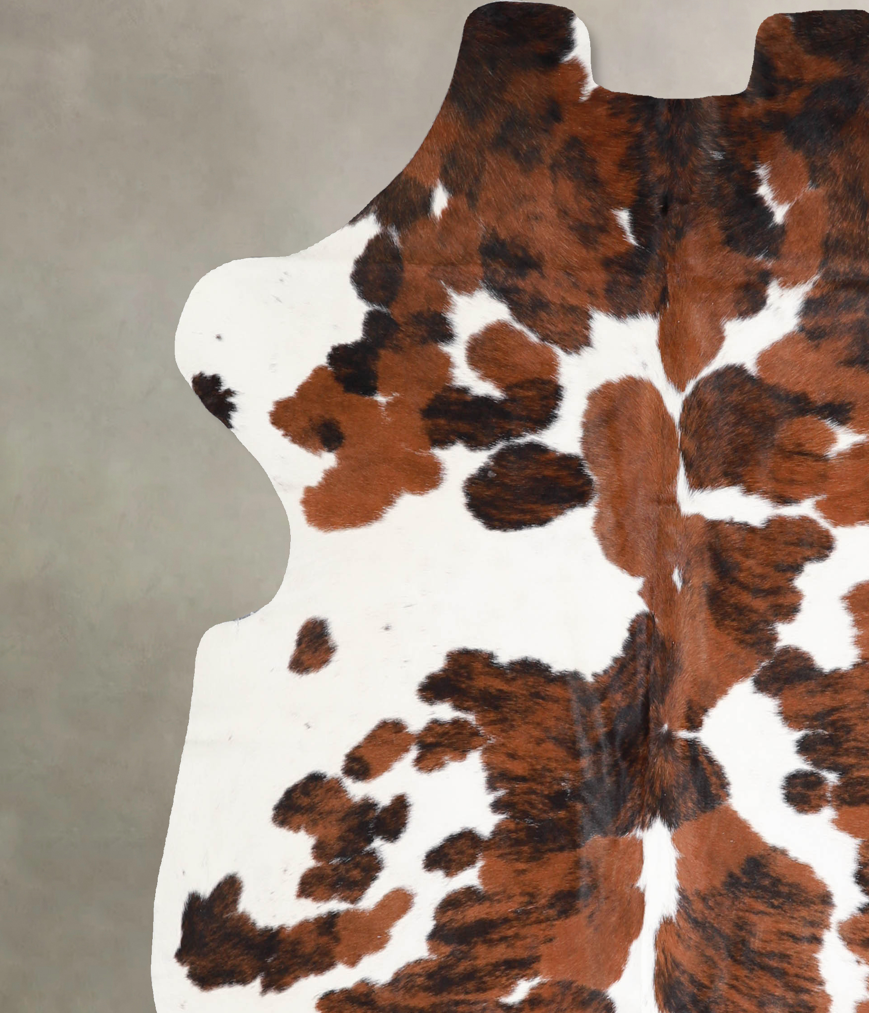 Tricolor Cowhide Rug #A39995