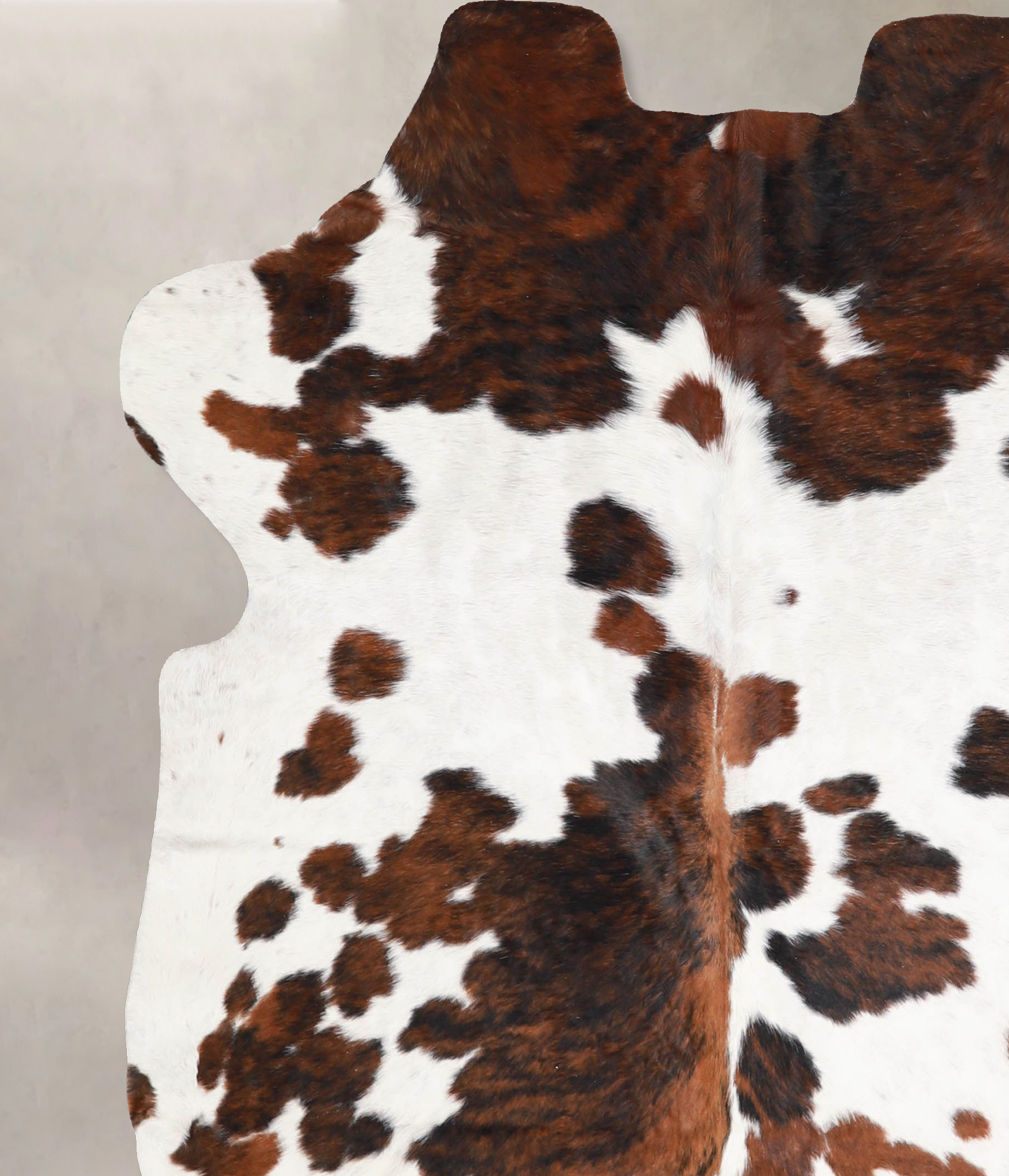 Tricolor Cowhide Rug #A39996