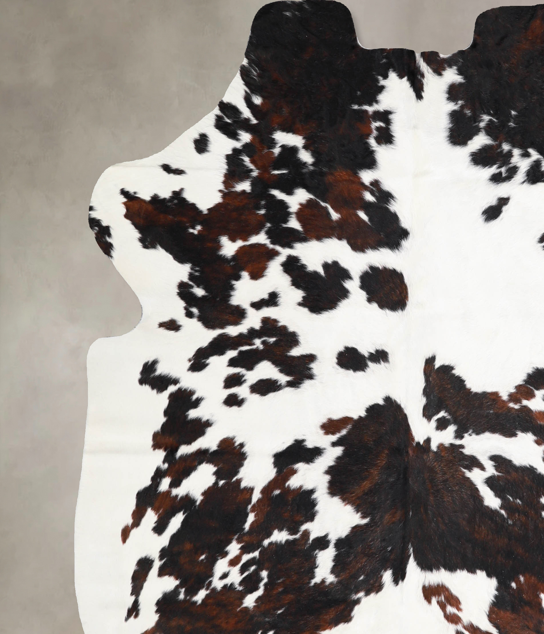 Tricolor Cowhide Rug #A40012