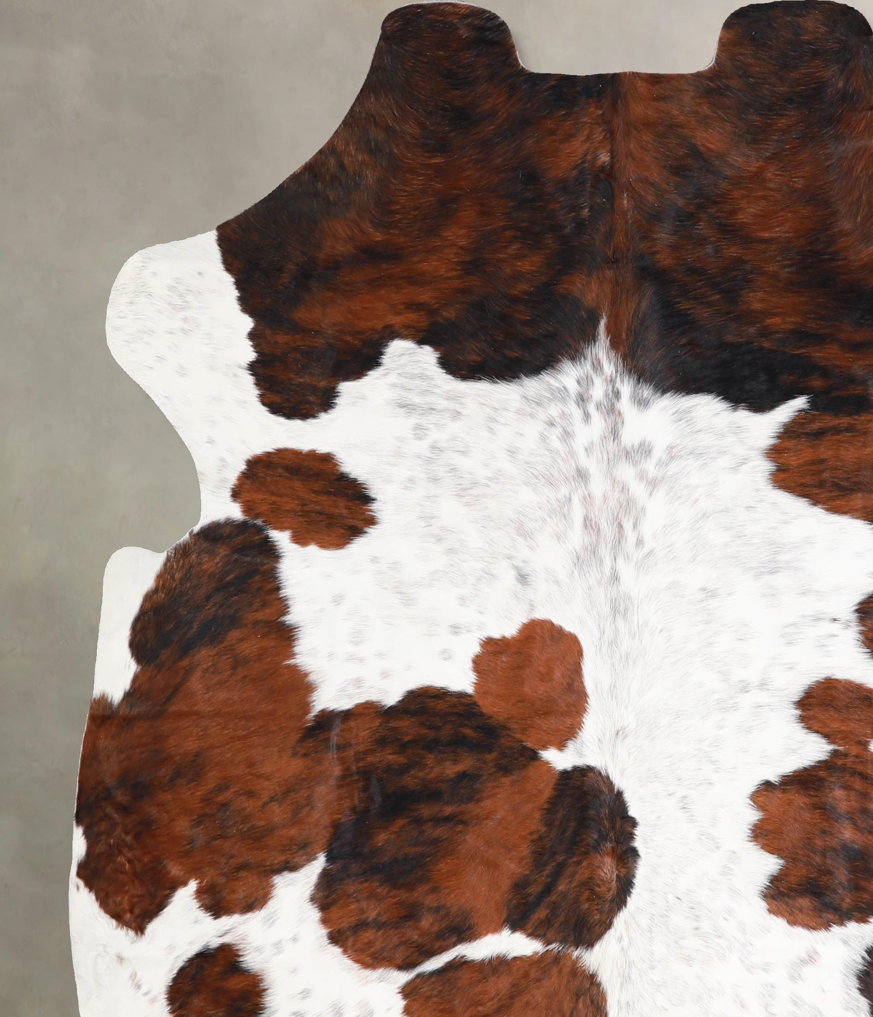 Tricolor Cowhide Rug #A40014