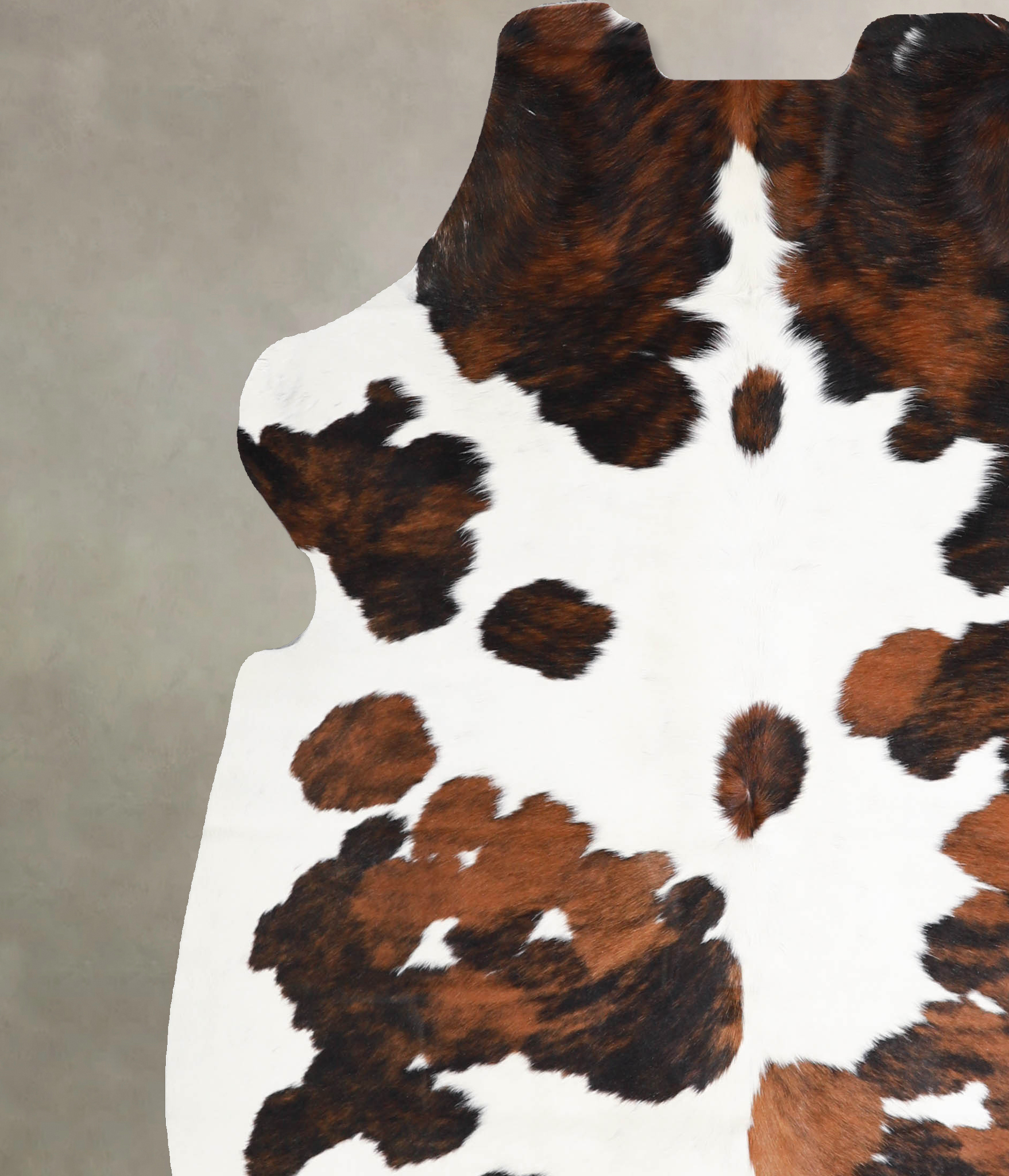 Tricolor Cowhide Rug #A40049