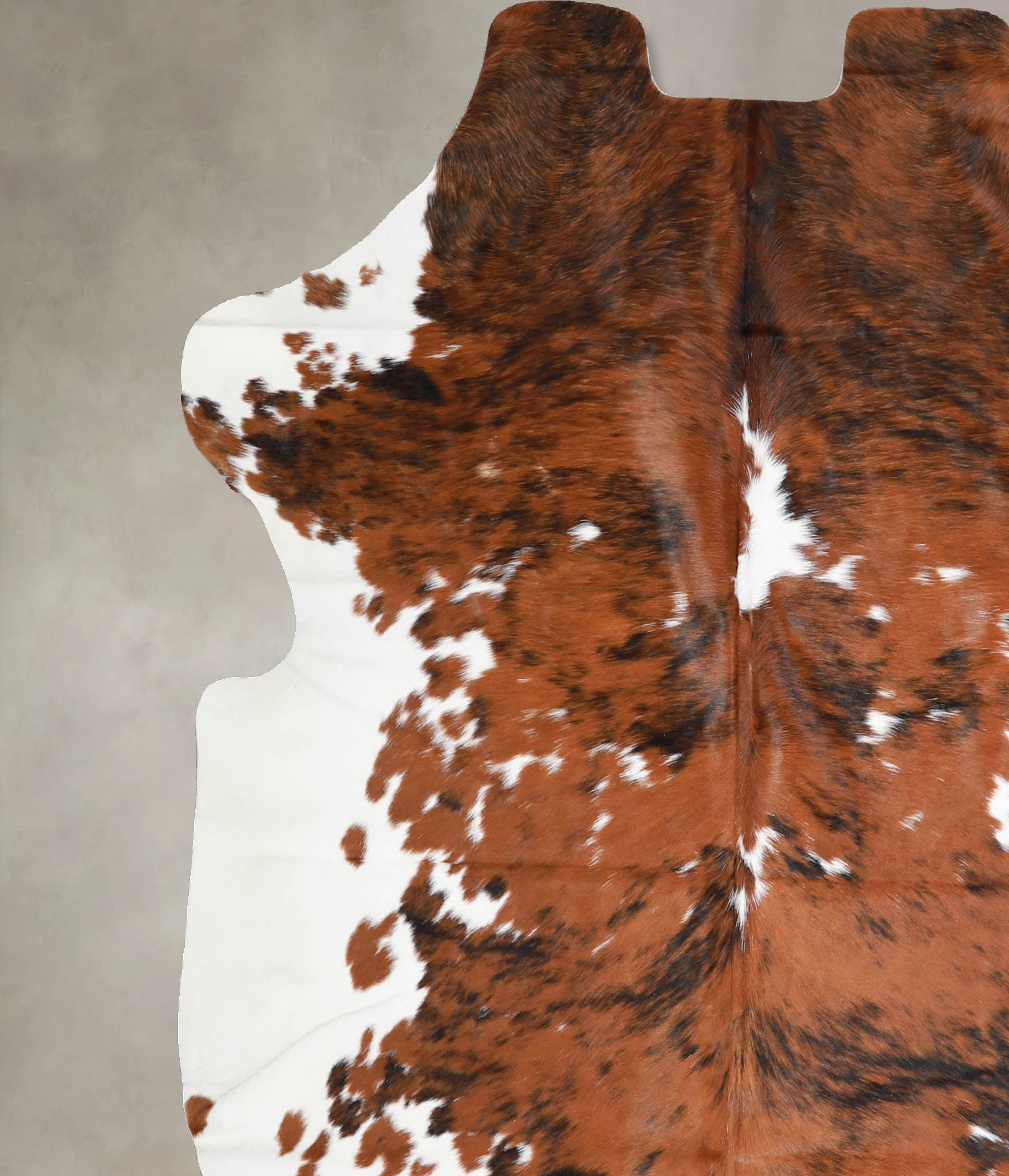 Tricolor Cowhide Rug #A40068