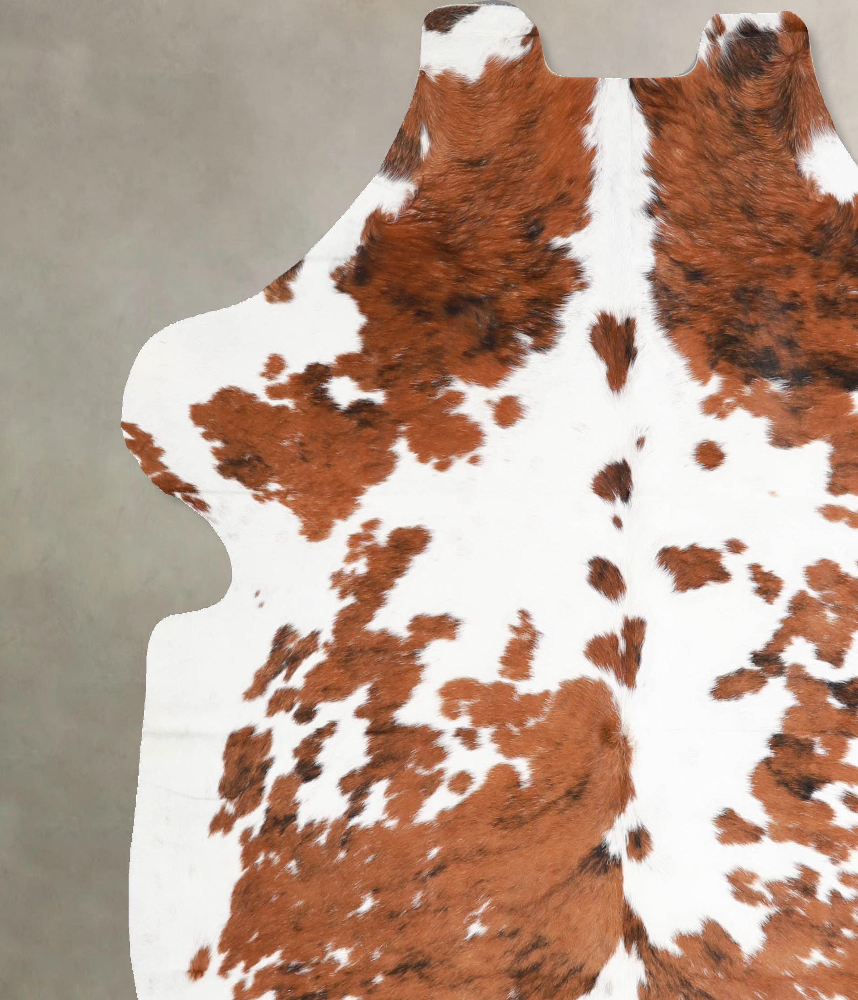 Tricolor Cowhide Rug #A40072