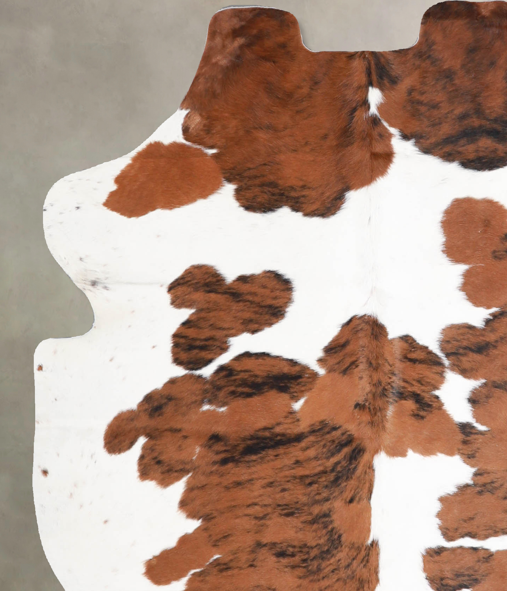 Tricolor Cowhide Rug #A40119