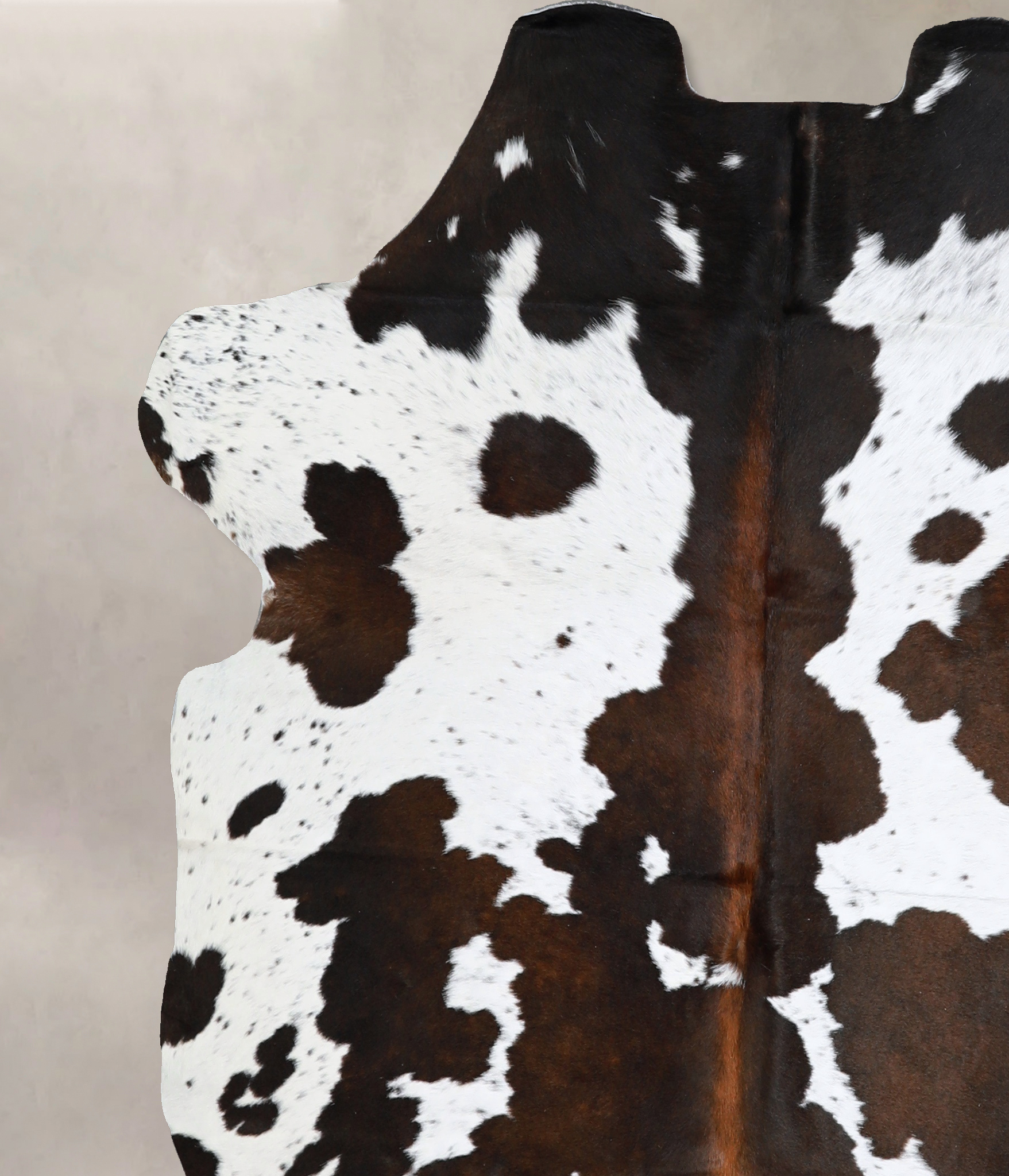 Chocolate and White Cowhide Rug #A40517