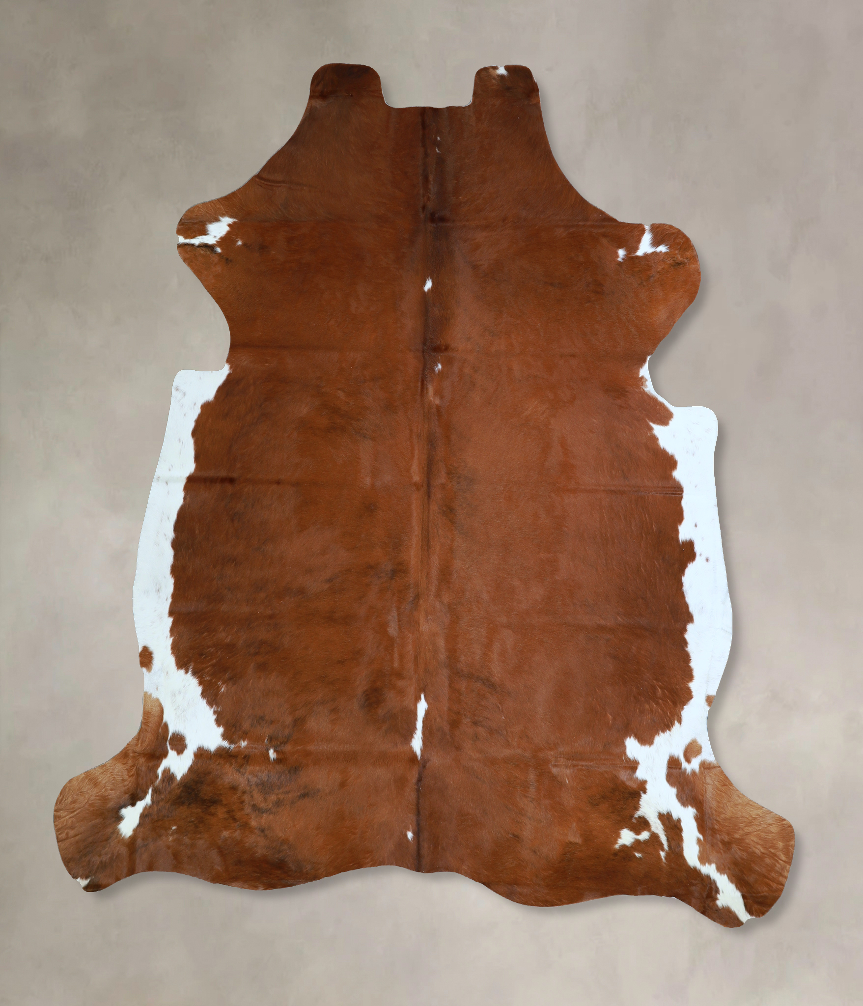 Brown and White Regular Cowhide Rug #A40605