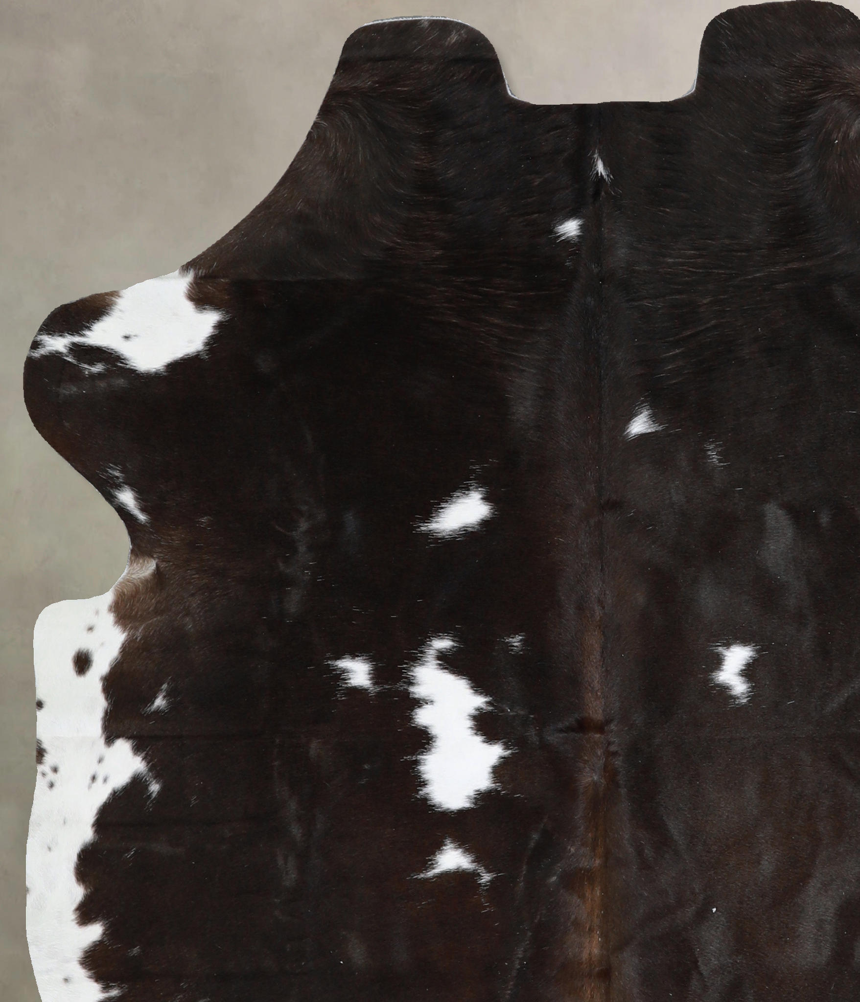 Chocolate and White Cowhide Rug #A40673