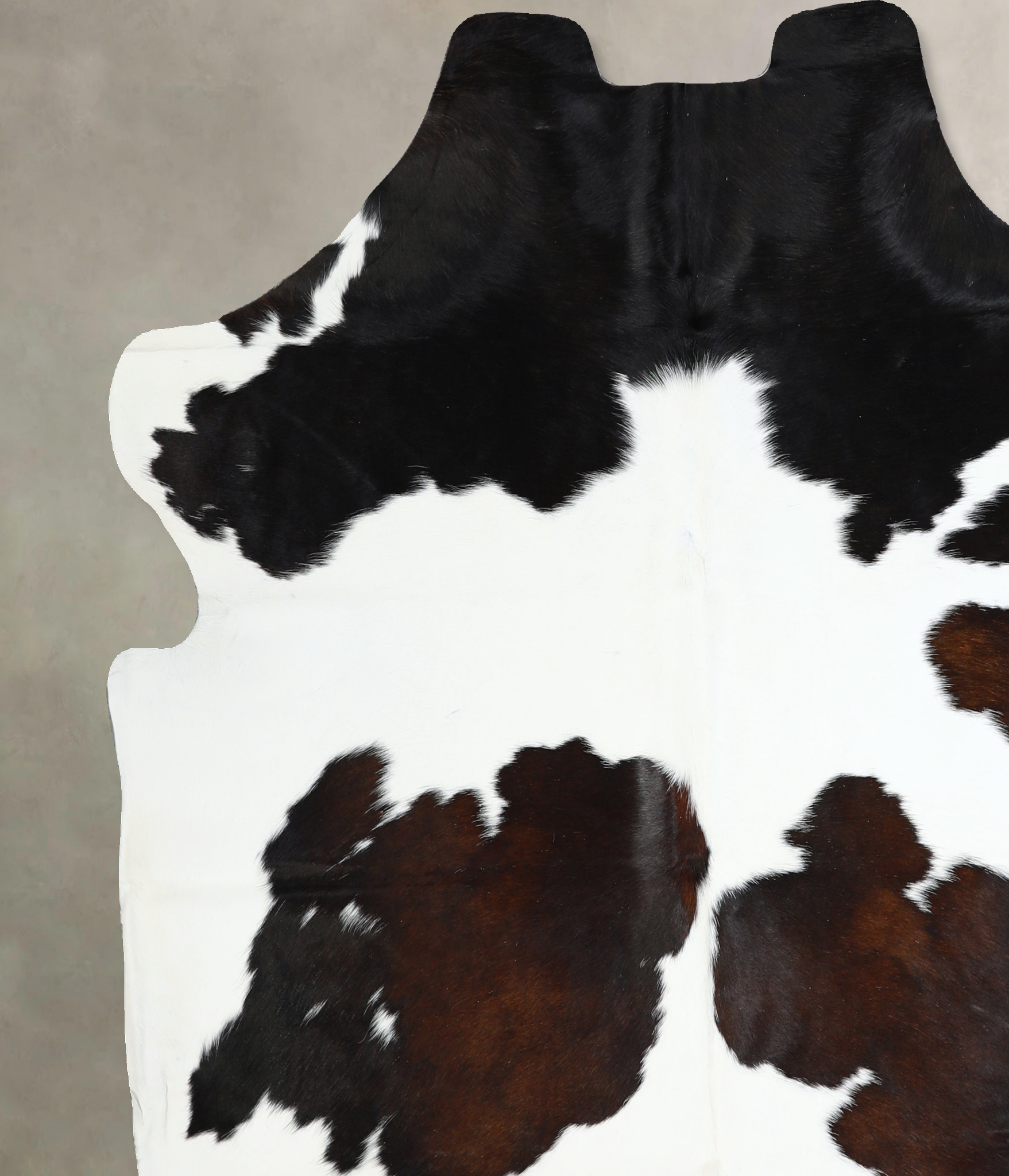 Chocolate and White Cowhide Rug #A40949