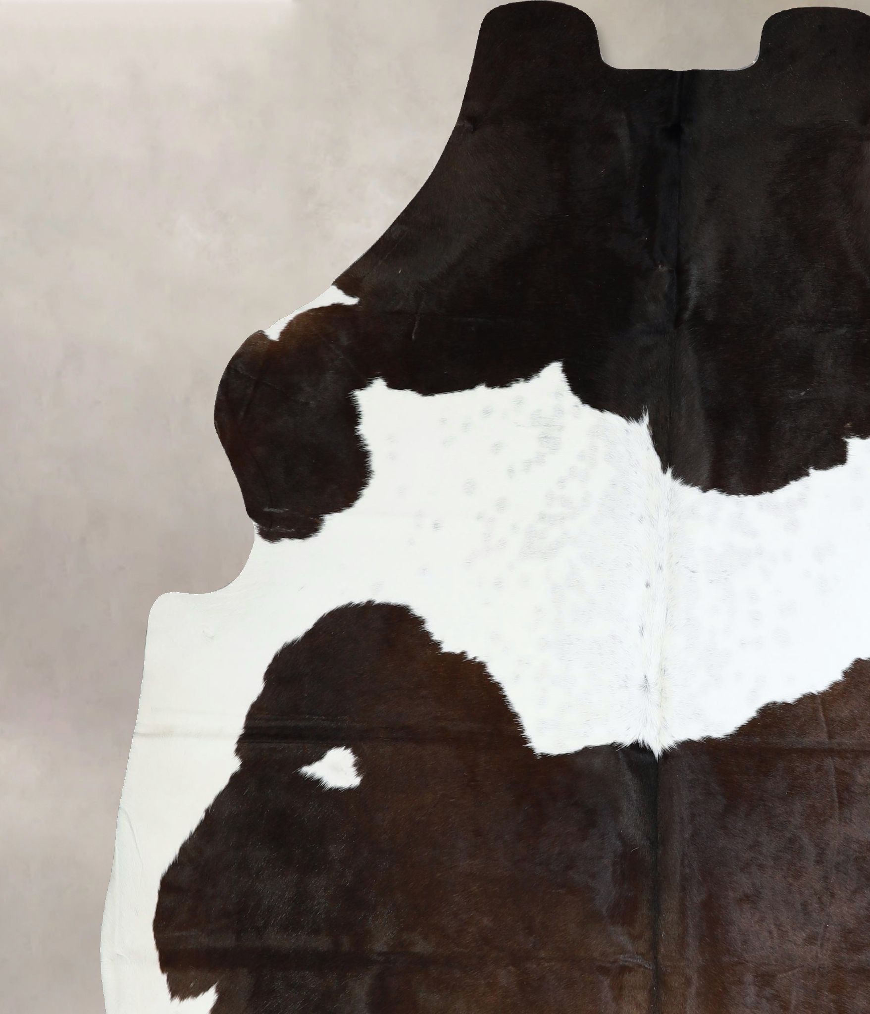 Chocolate and White Cowhide Rug #A41437