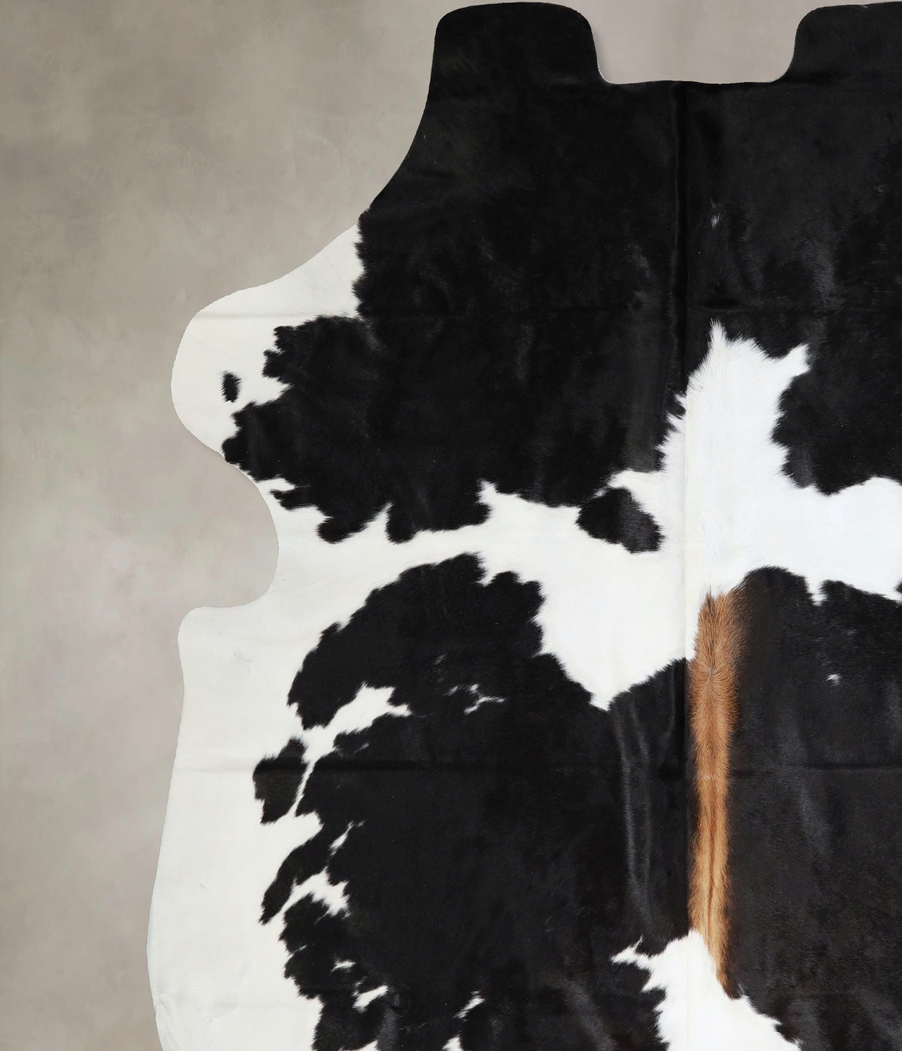 Chocolate and White Cowhide Rug #A41596