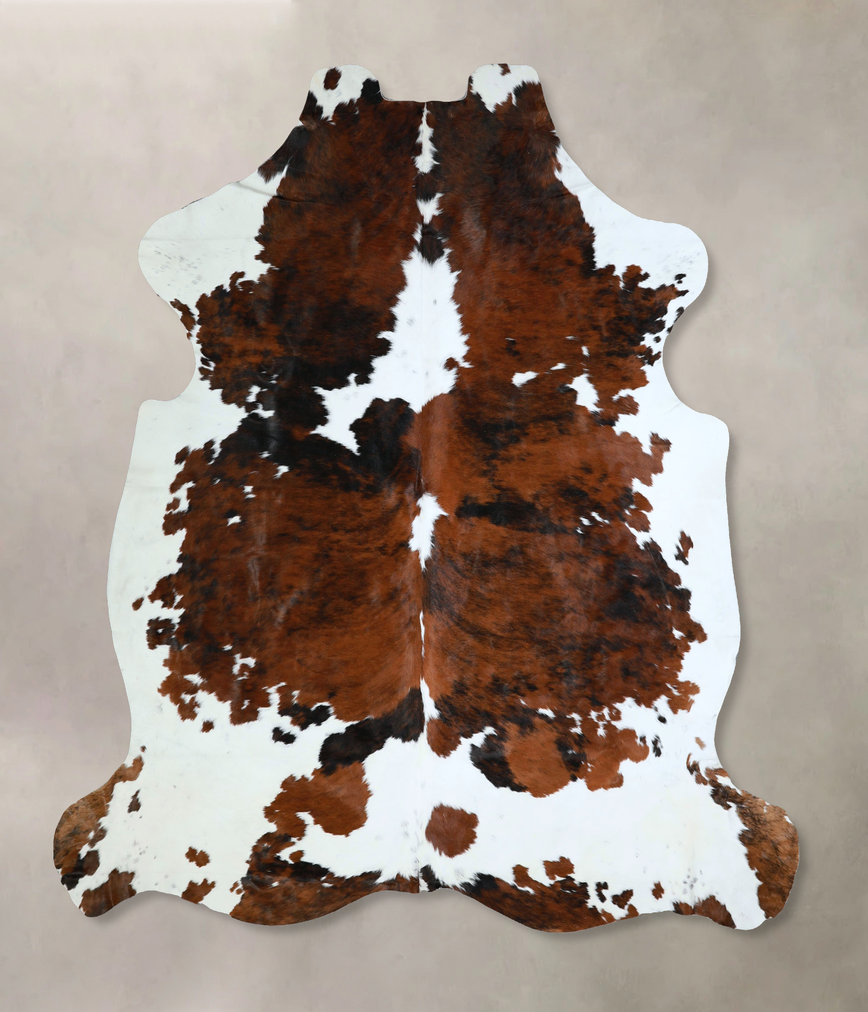 Tricolor Cowhide Rug #A41931