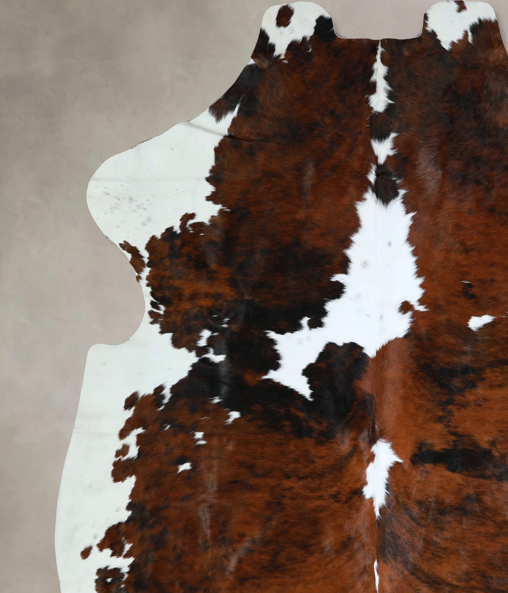 Tricolor Cowhide Rug #A41931