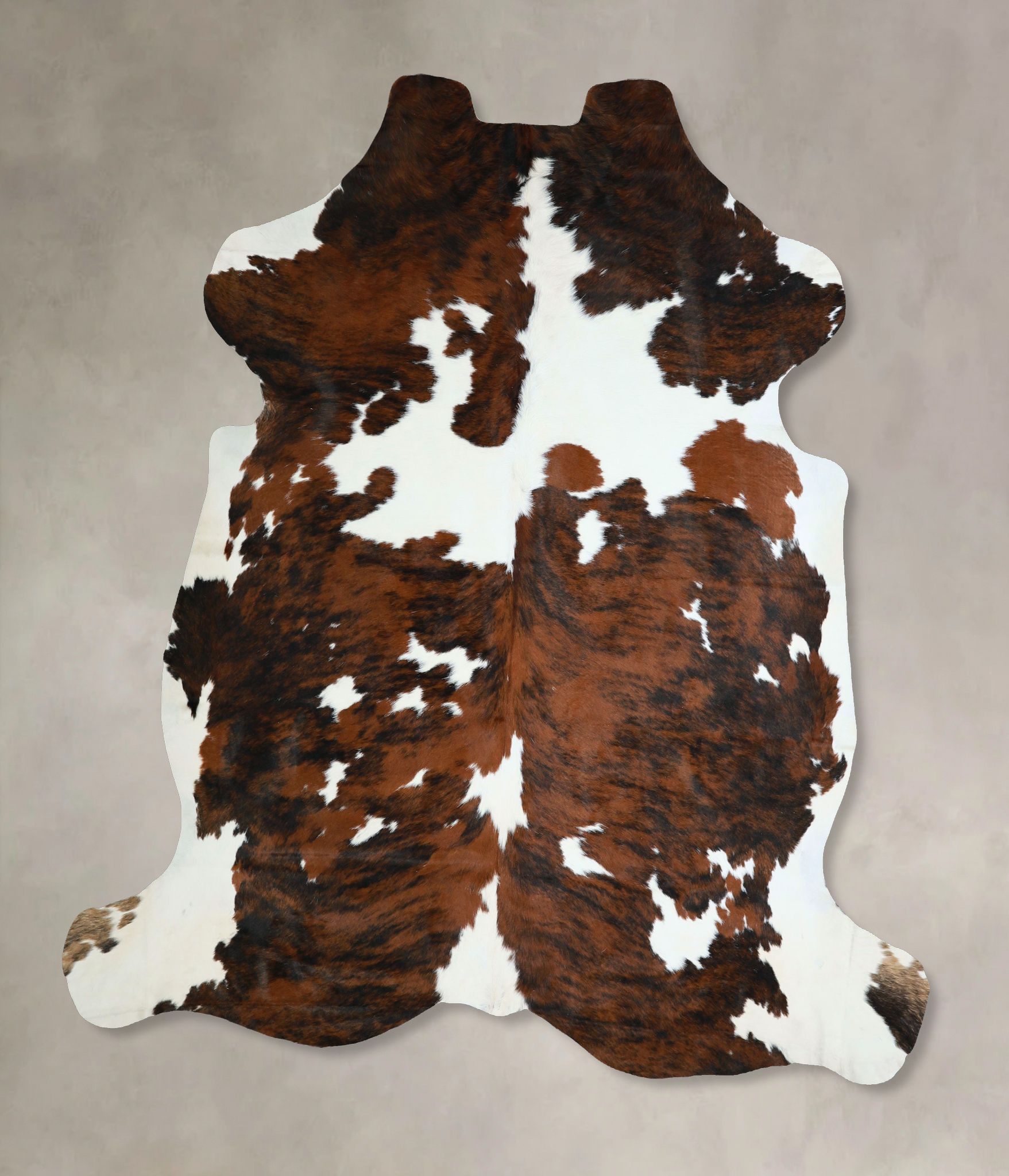 Tricolor Cowhide Rug #A41932