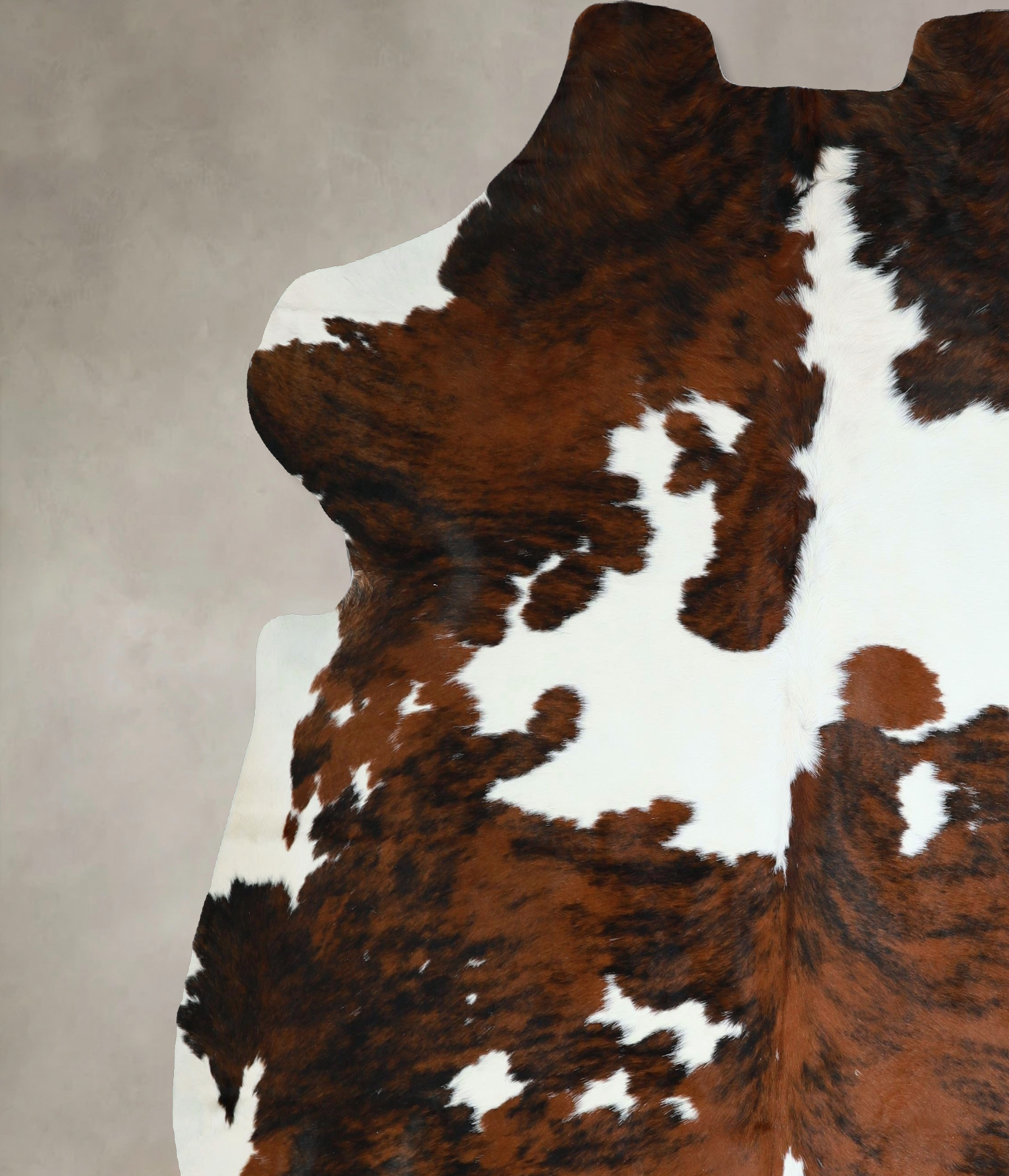 Tricolor Cowhide Rug #A41932