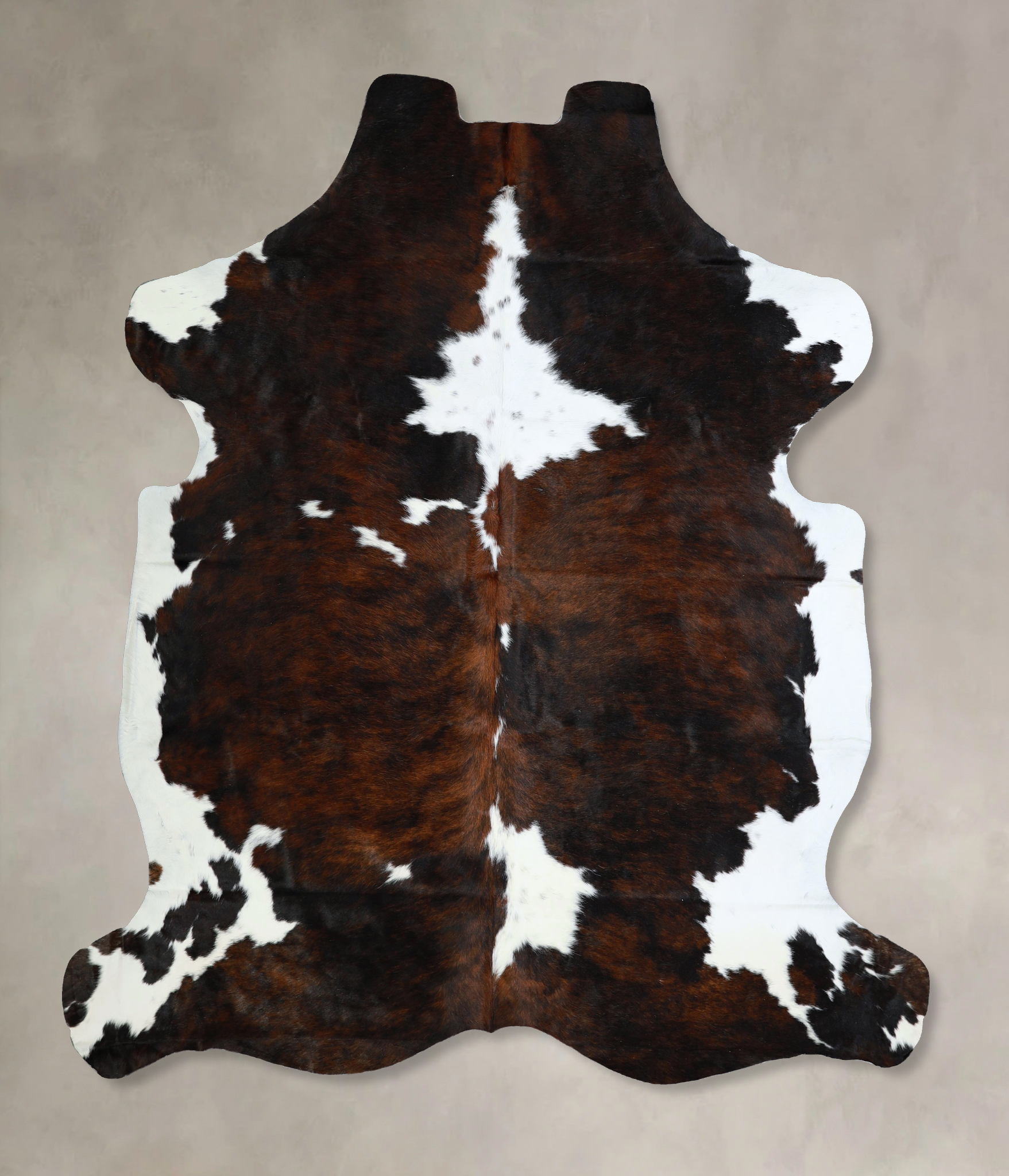 Tricolor Cowhide Rug #A41935