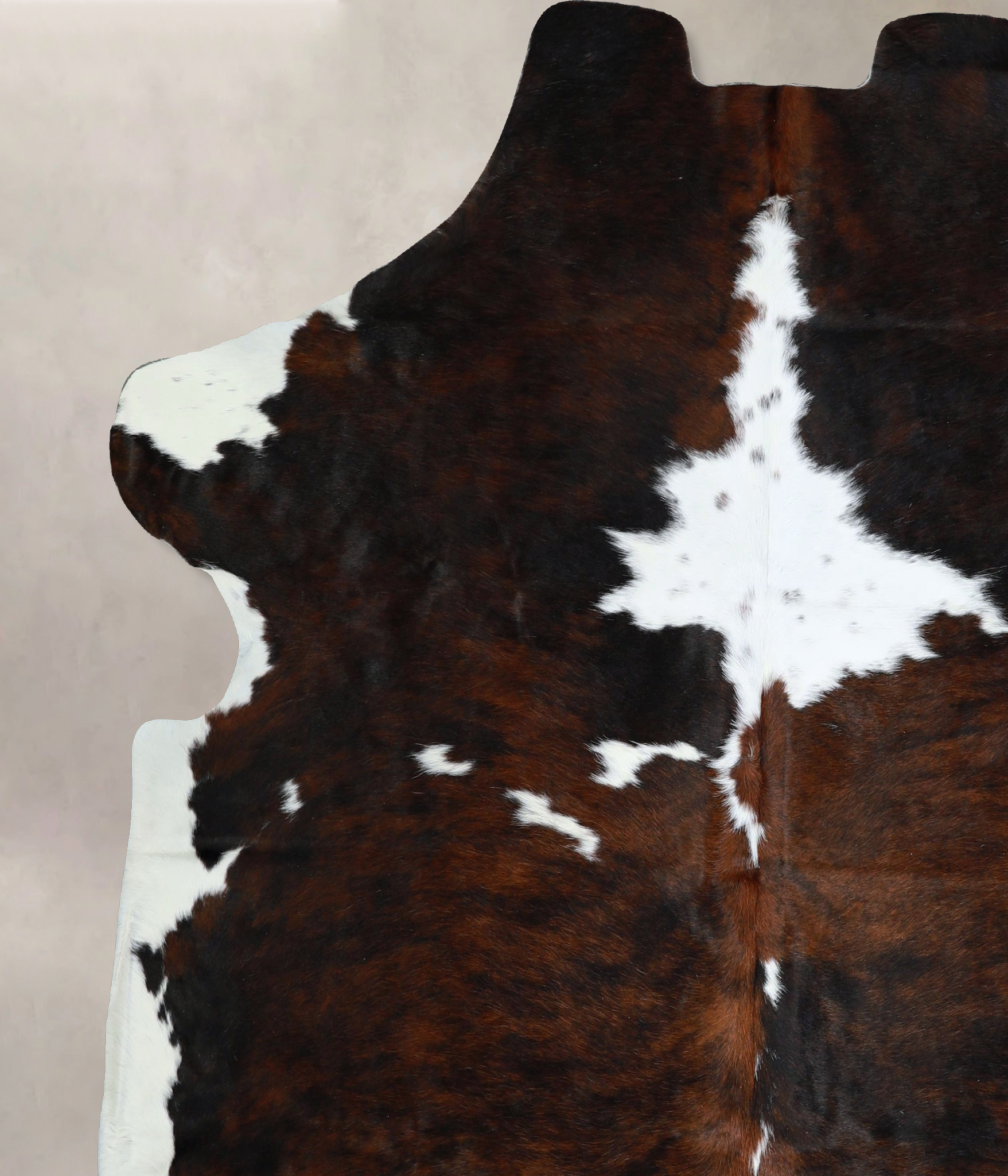 Tricolor Cowhide Rug #A41935