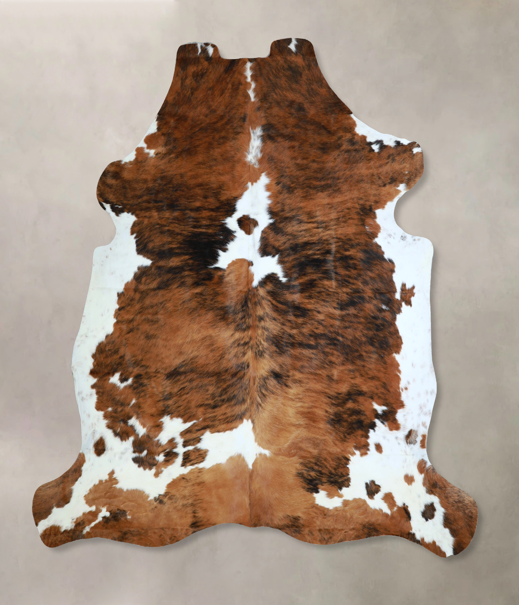 Tricolor Cowhide Rug #A41936