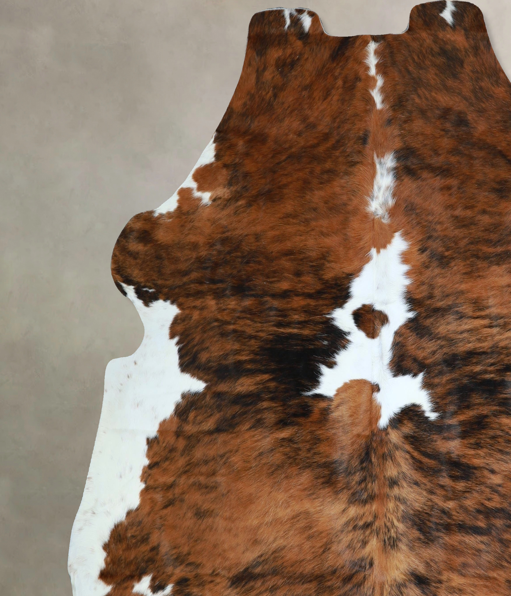 Tricolor Cowhide Rug #A41936