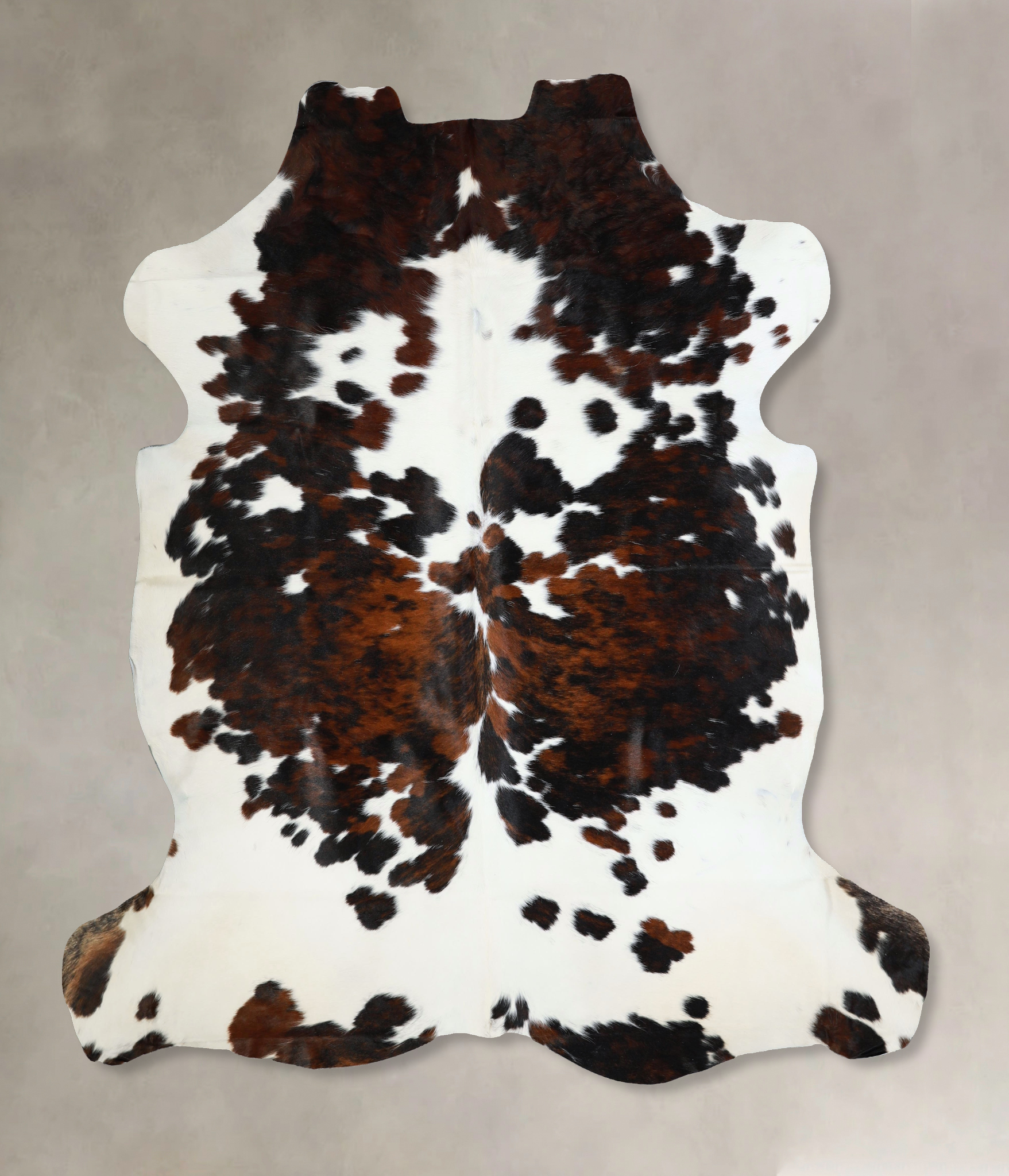 Tricolor Cowhide Rug #A41938