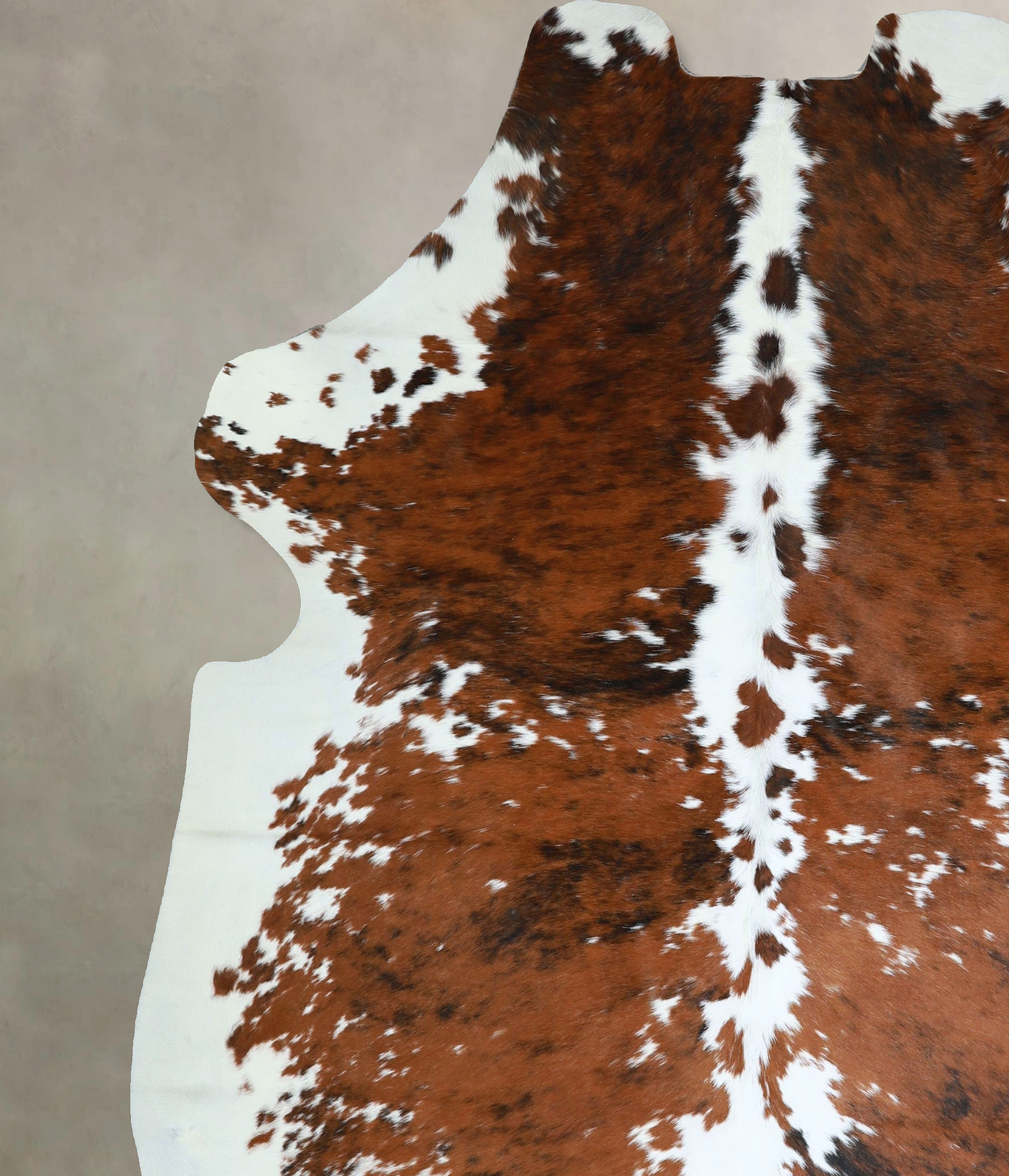 Tricolor Cowhide Rug #A41939