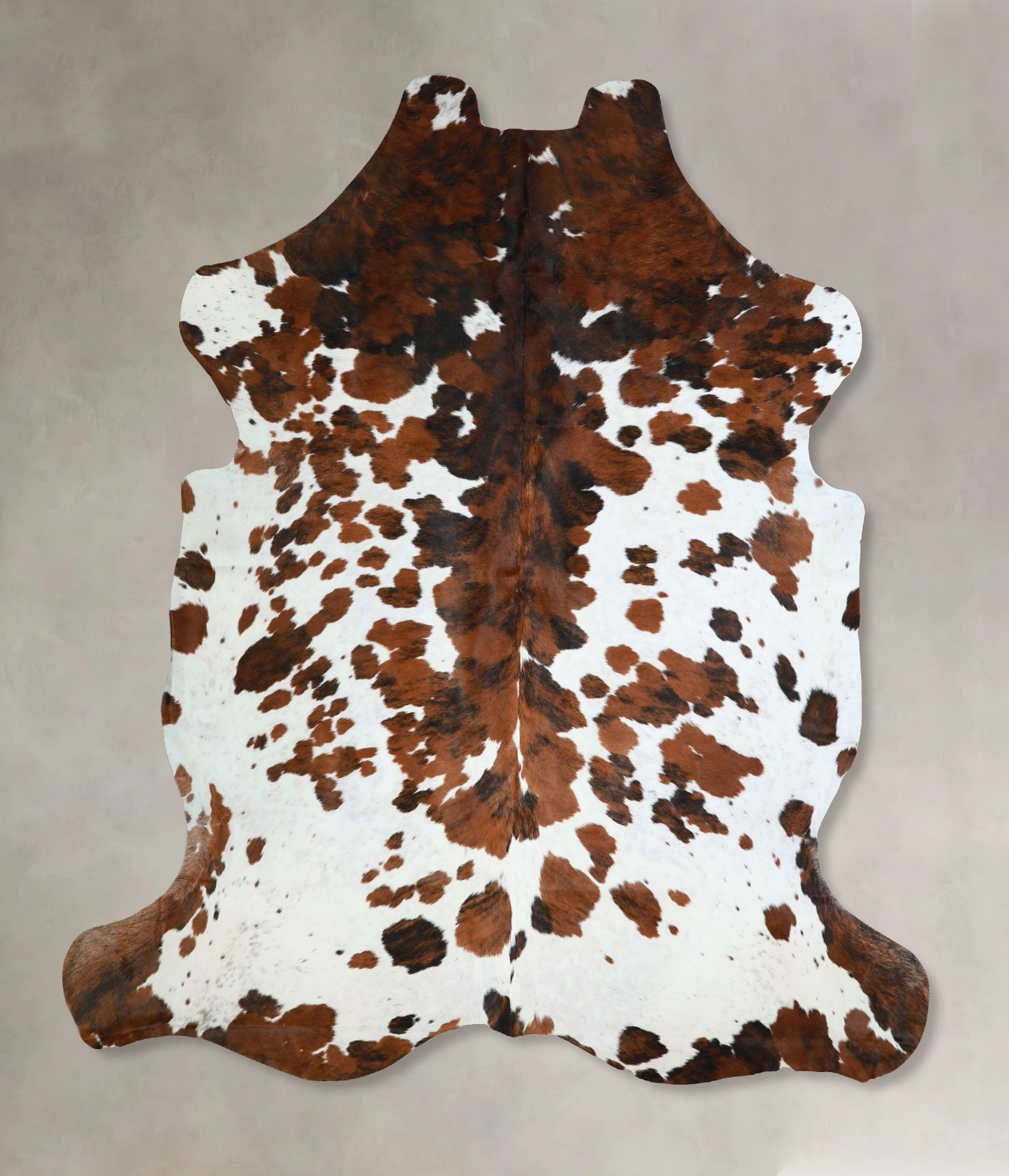 Tricolor Cowhide Rug #A41940