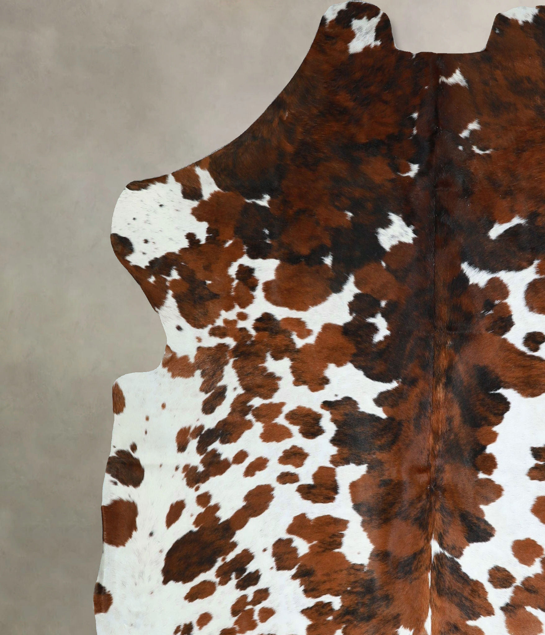 Tricolor Cowhide Rug #A41940