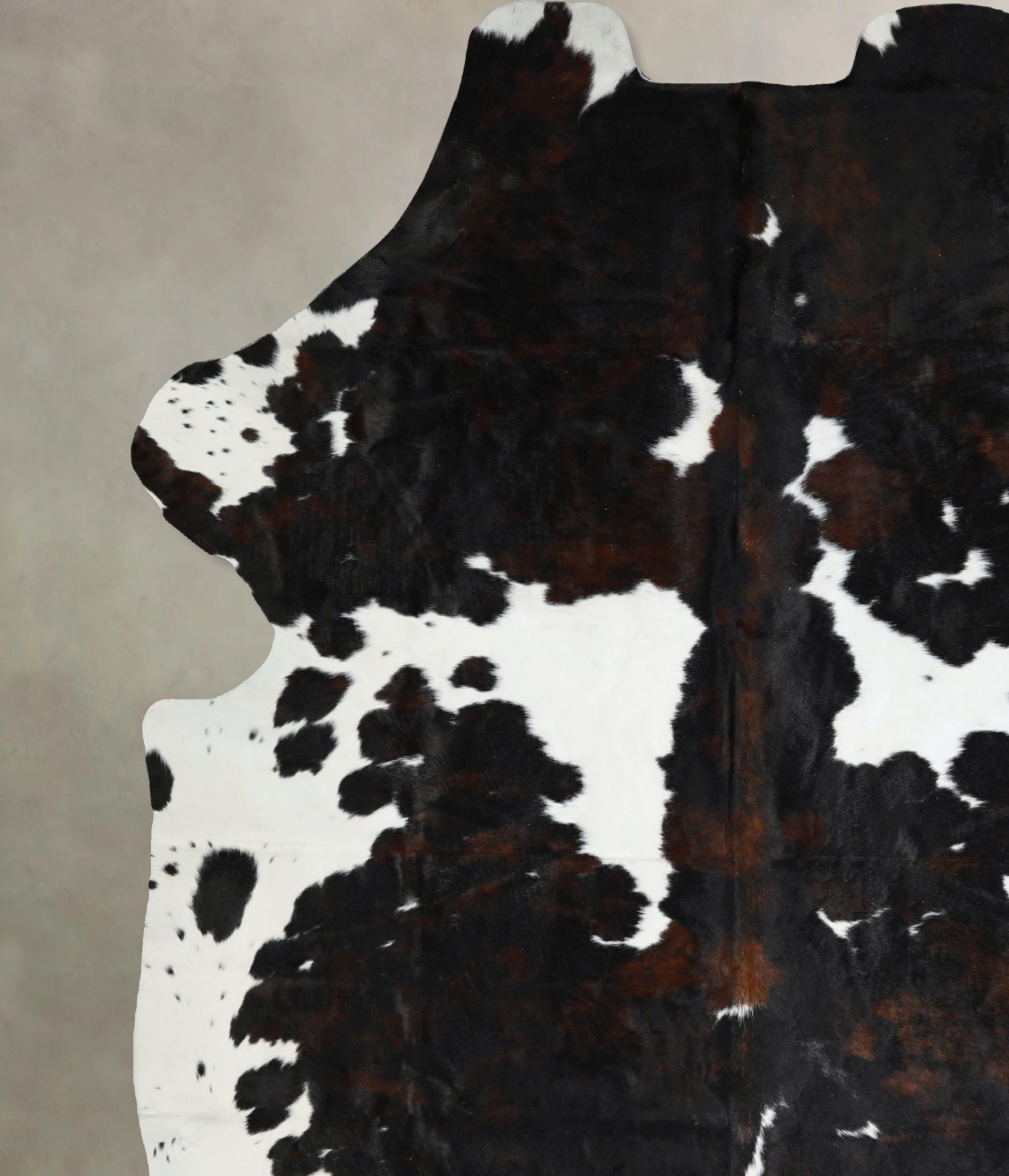 Tricolor Cowhide Rug #A41948