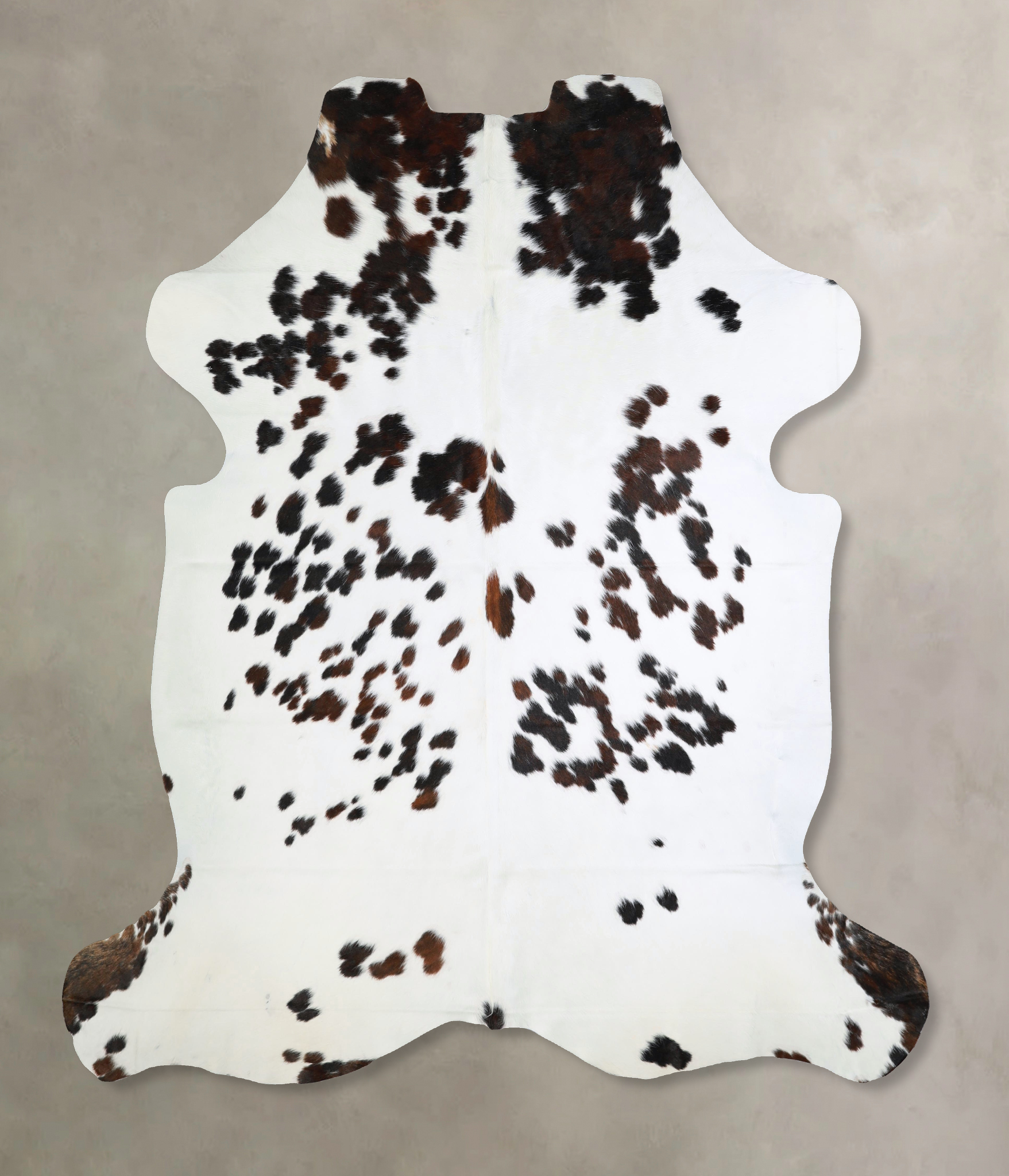 Tricolor Cowhide Rug #A41949