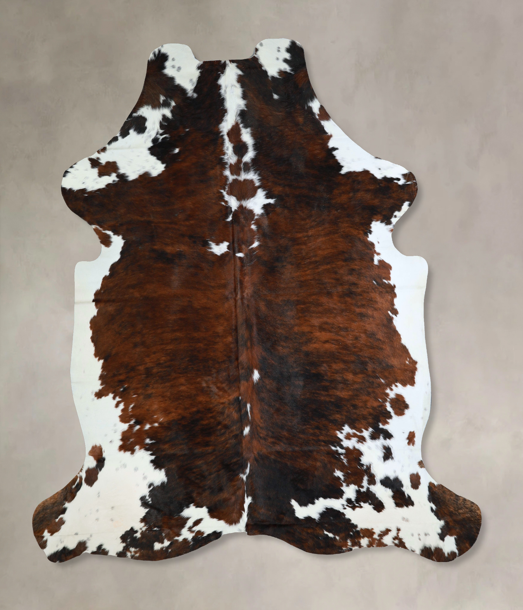 Tricolor Cowhide Rug #A41950