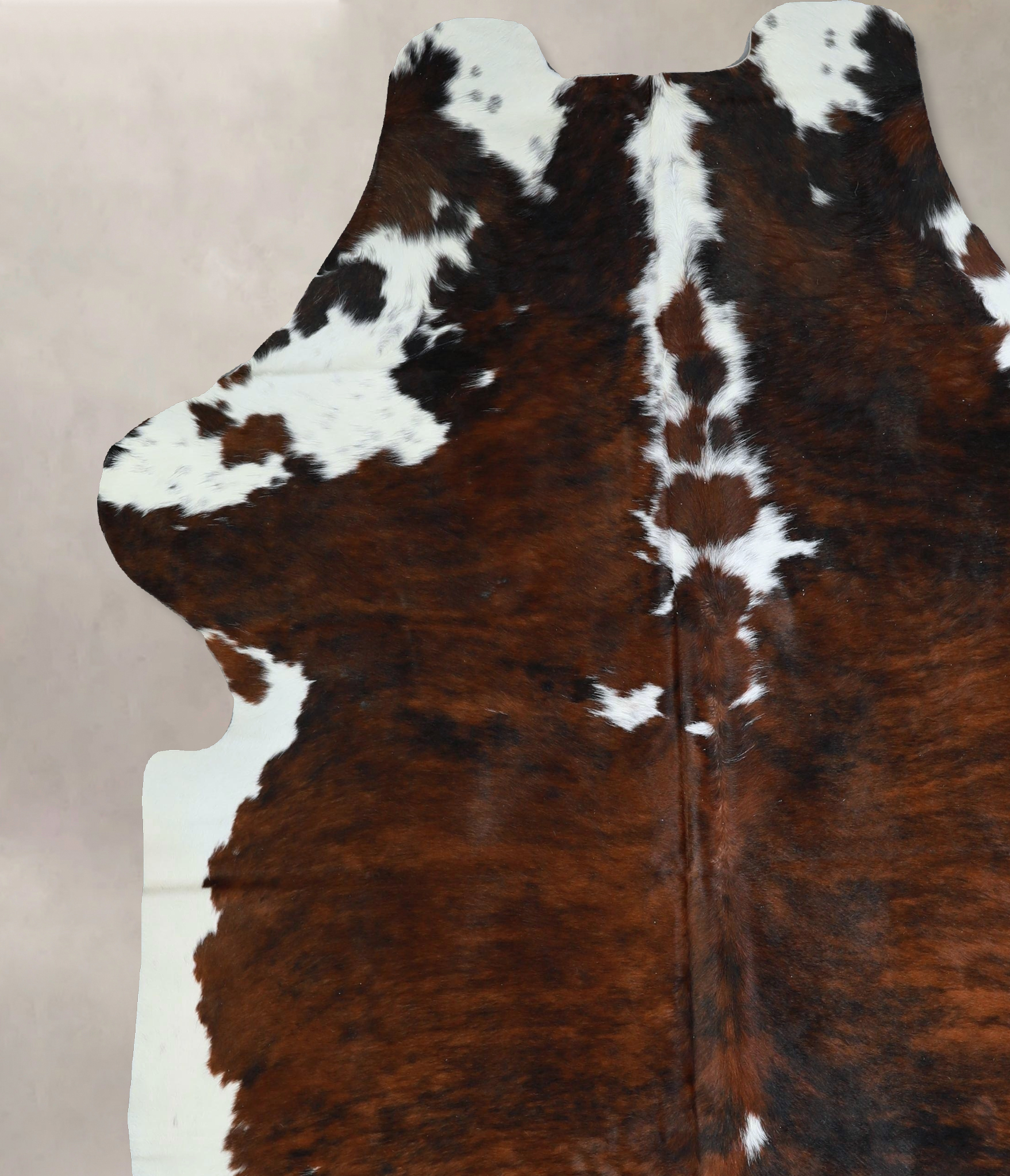 Tricolor Cowhide Rug #A41950