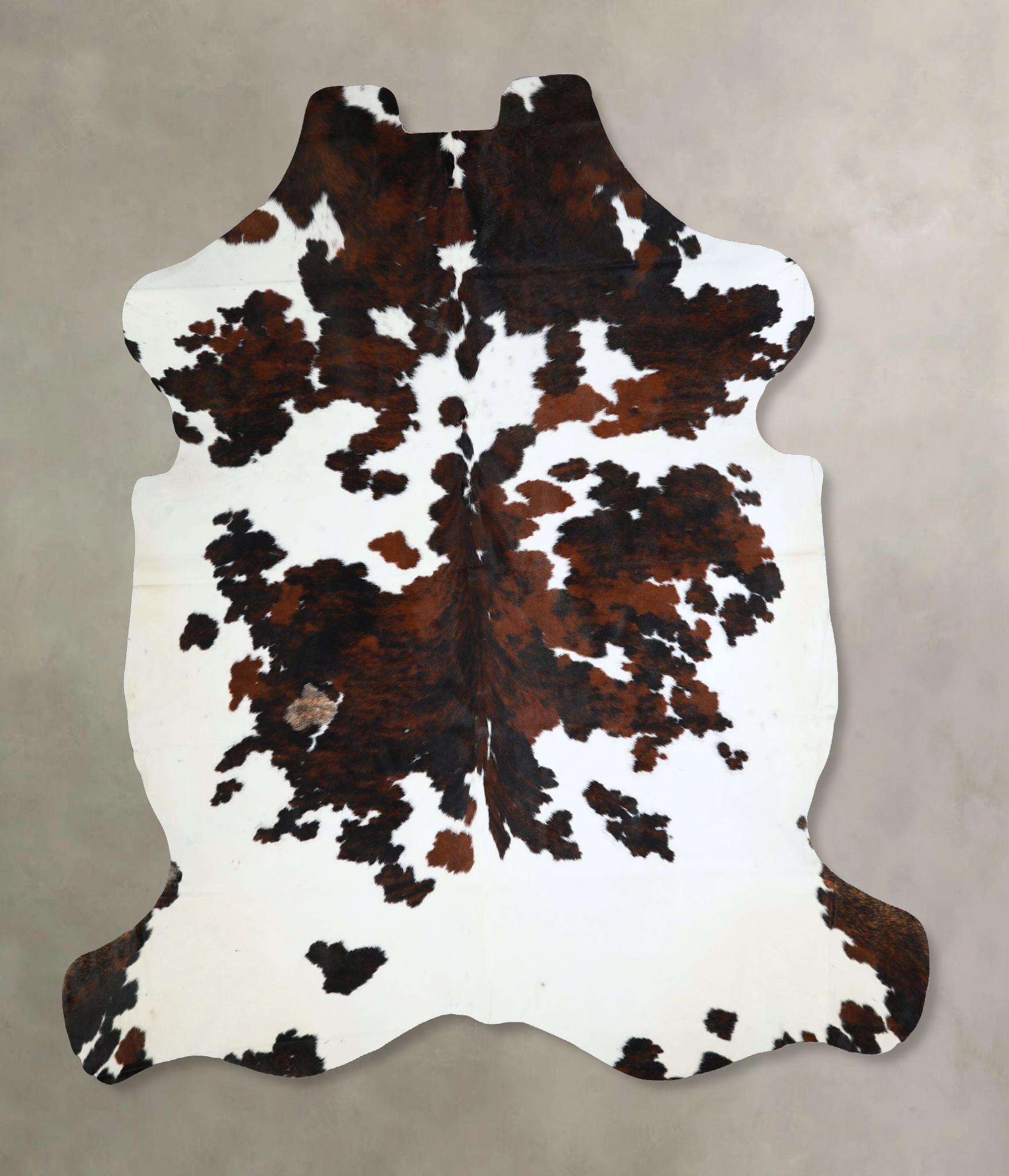 Tricolor Cowhide Rug #A41961