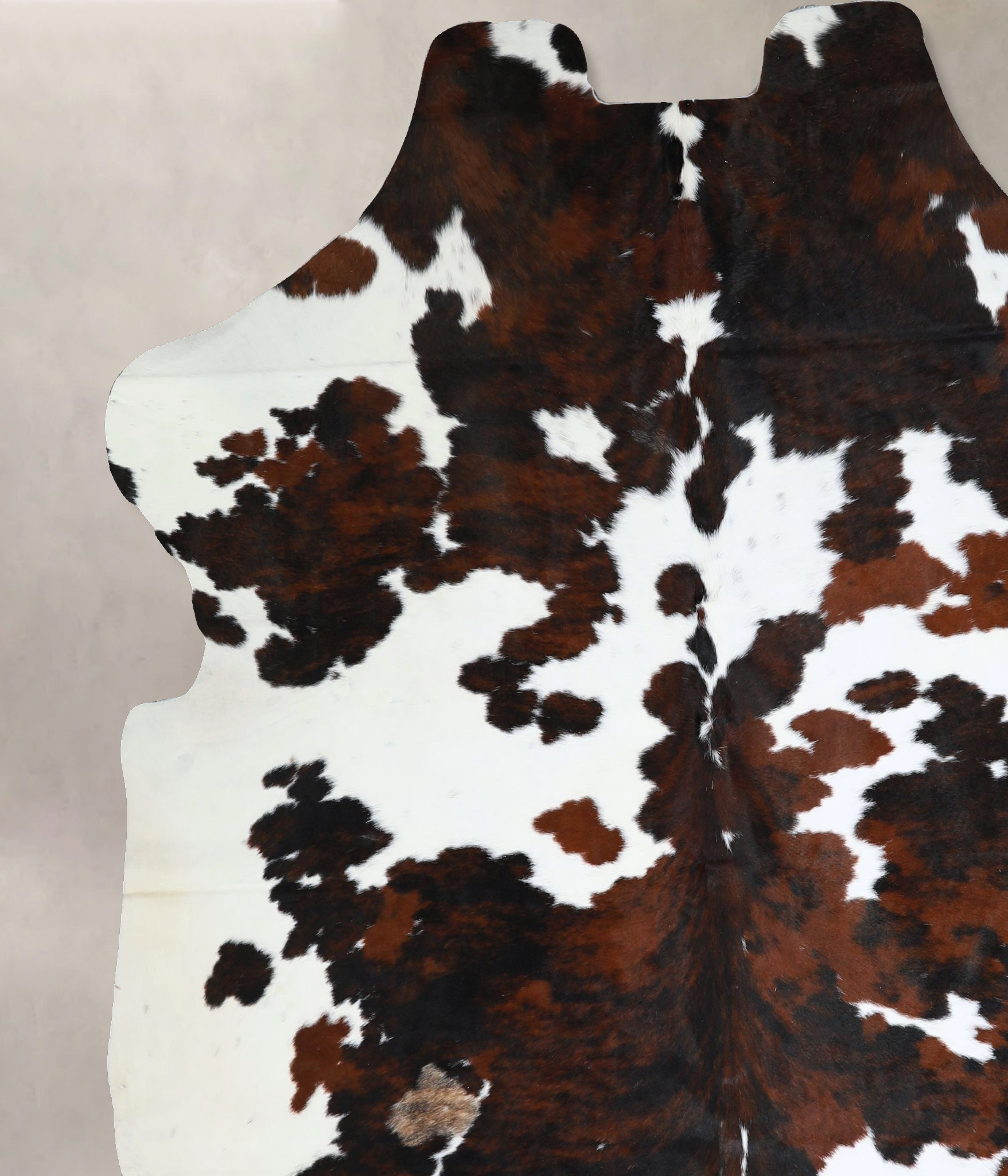 Tricolor Cowhide Rug #A41961