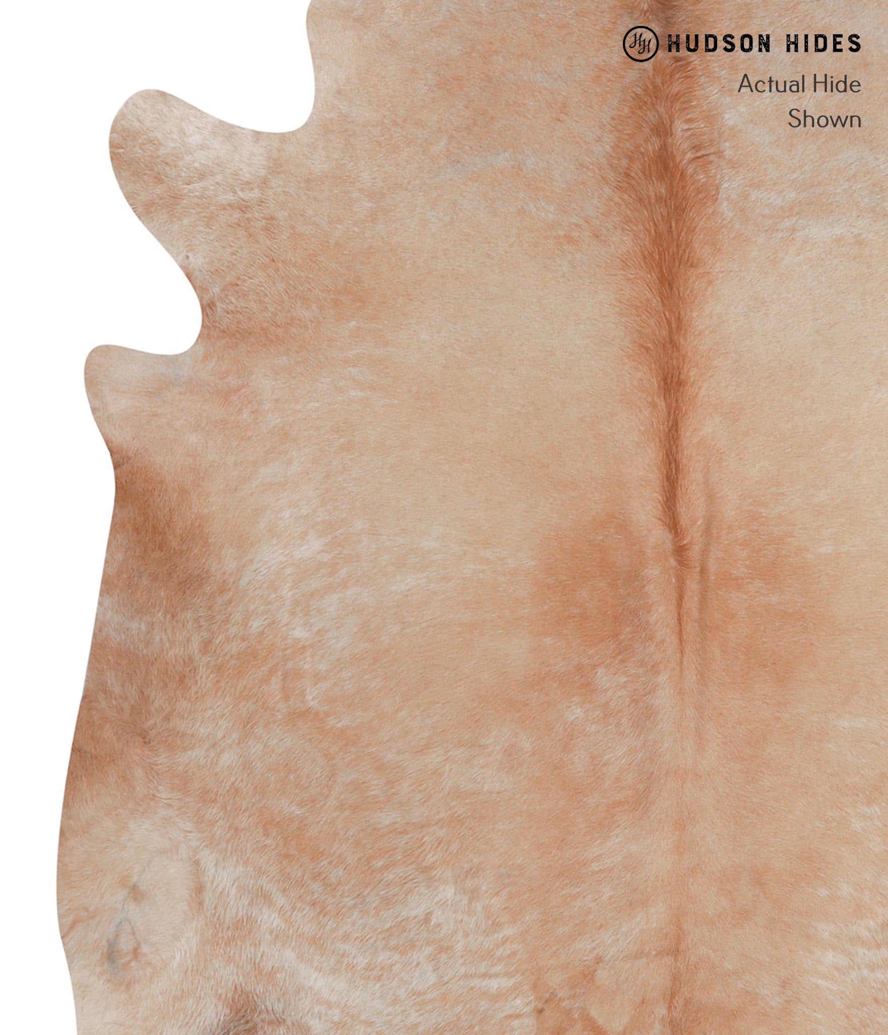 Beige Cowhide Rug #A4634