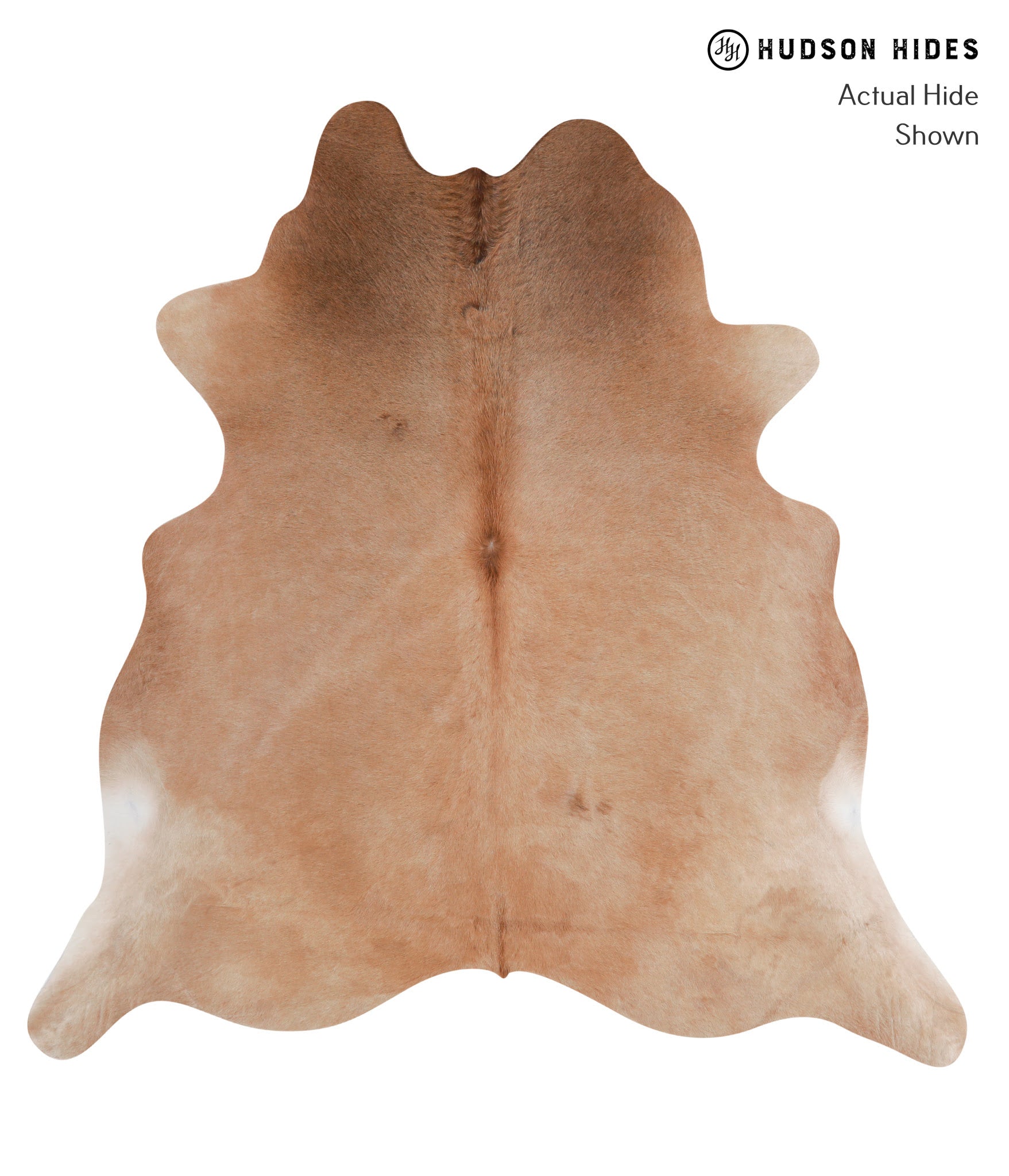 Solid Brown Cowhide Rug #A4686