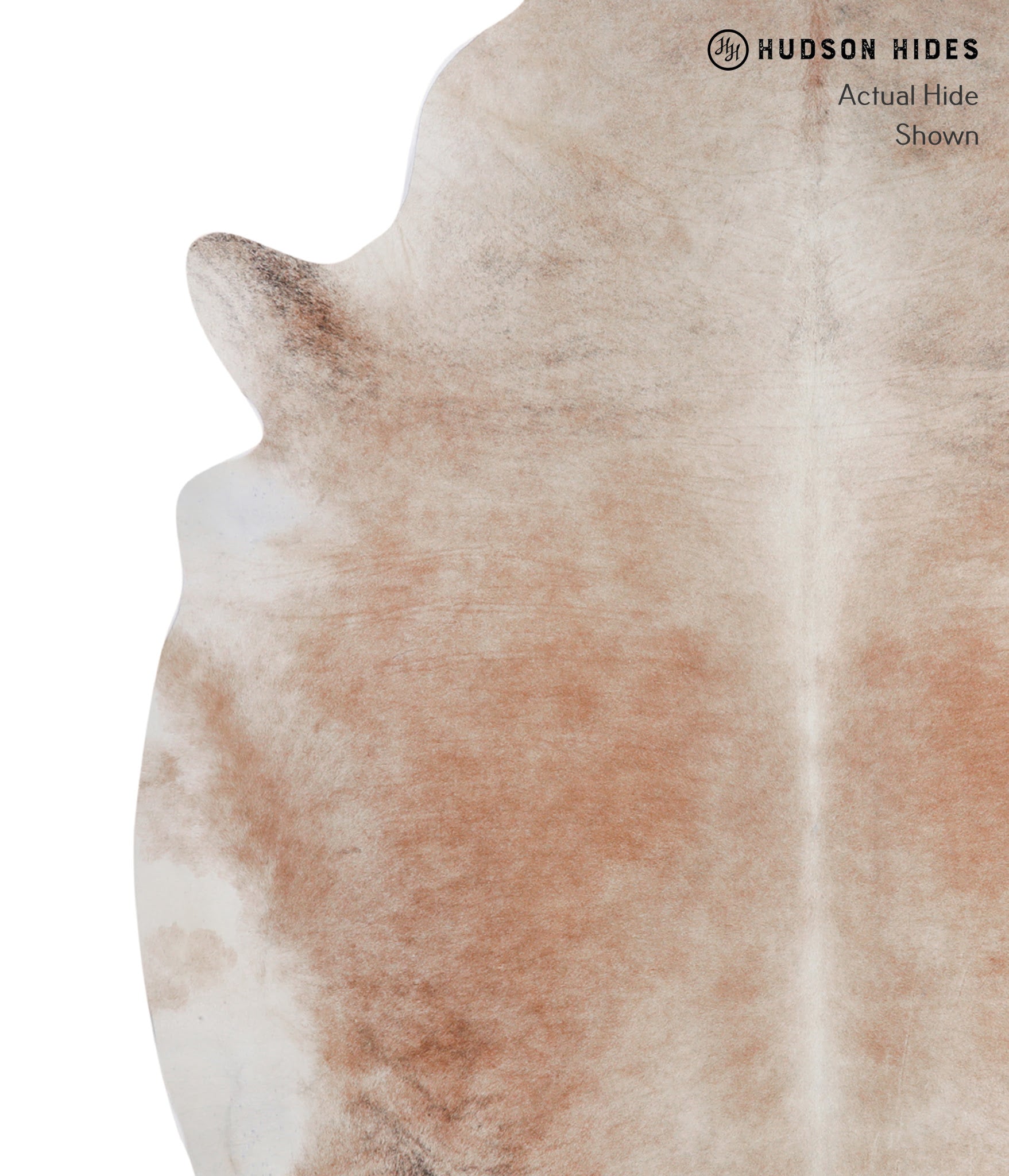 Caramel Cowhide Rug #A4729