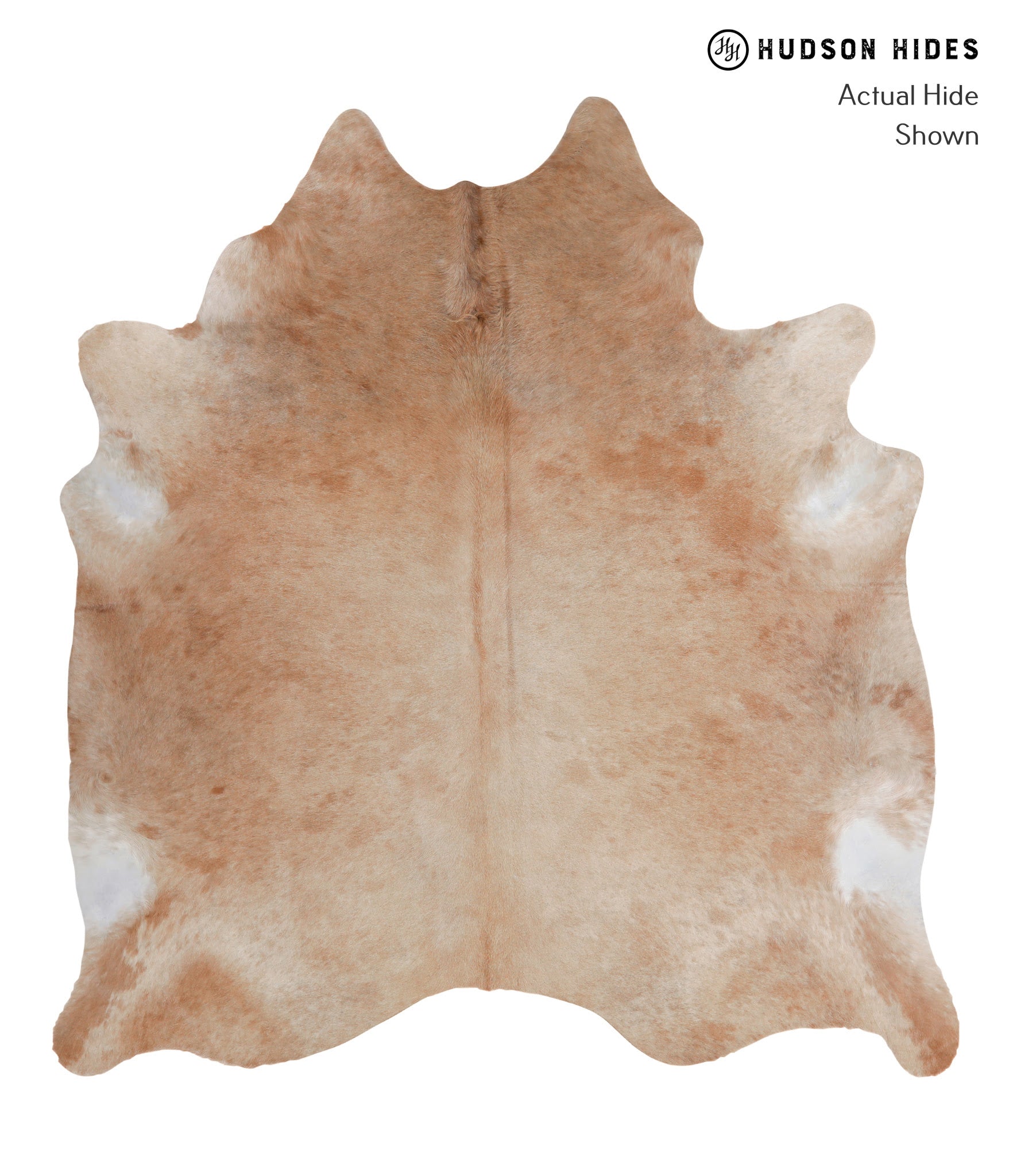 Solid Brown Cowhide Rug #A4761