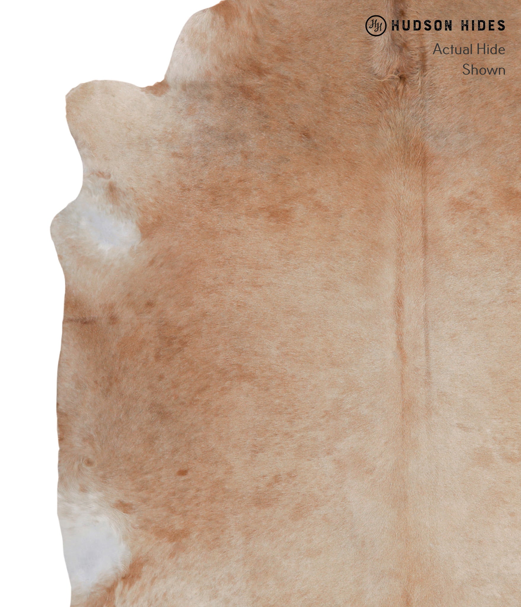 Solid Brown Cowhide Rug #A4761